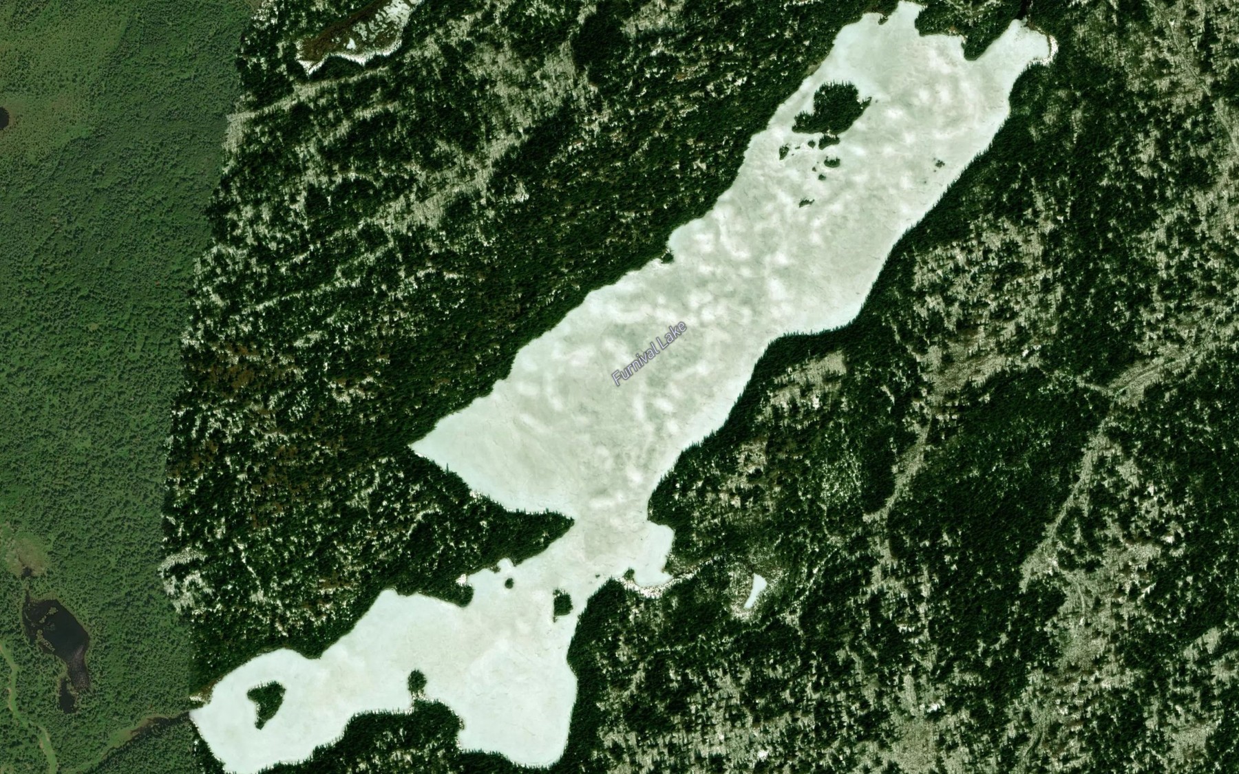 Satellite map of the Furnival Lake