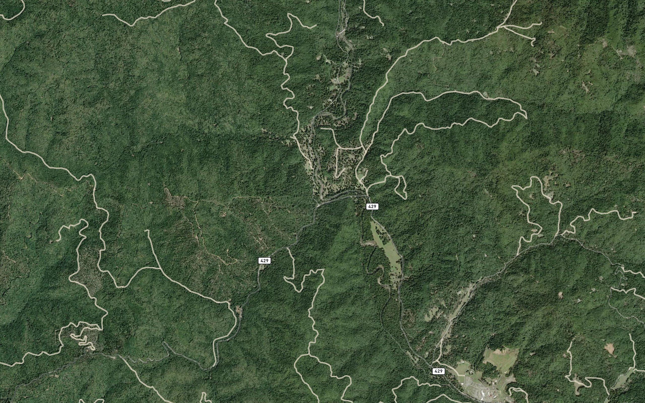 Redwood Creek