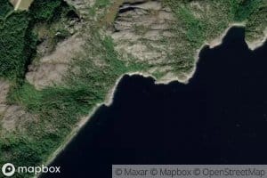 Gongstovika