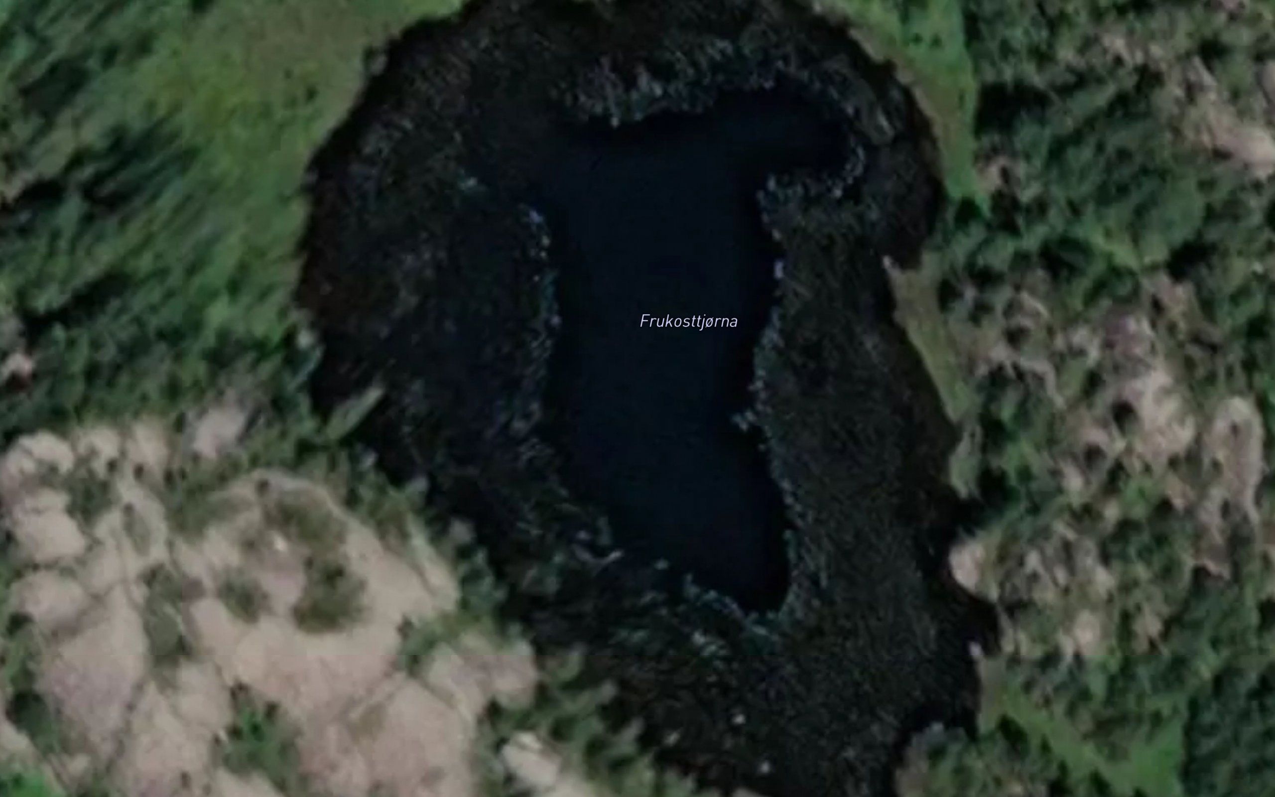 Frukosttjorna