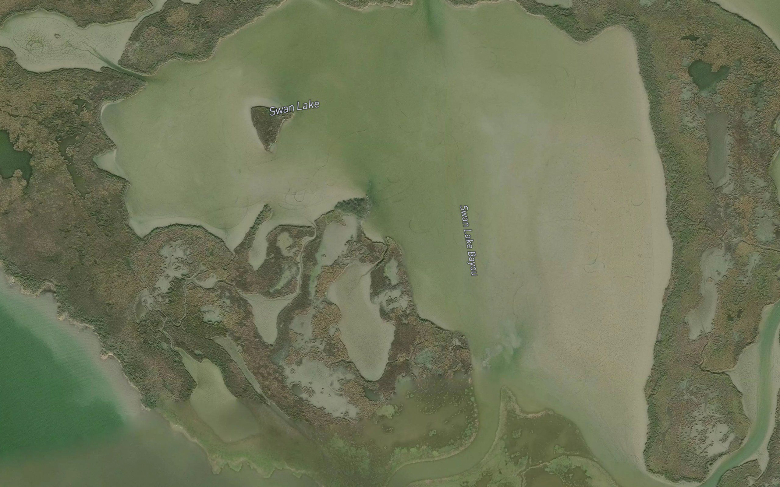Swan Lake
