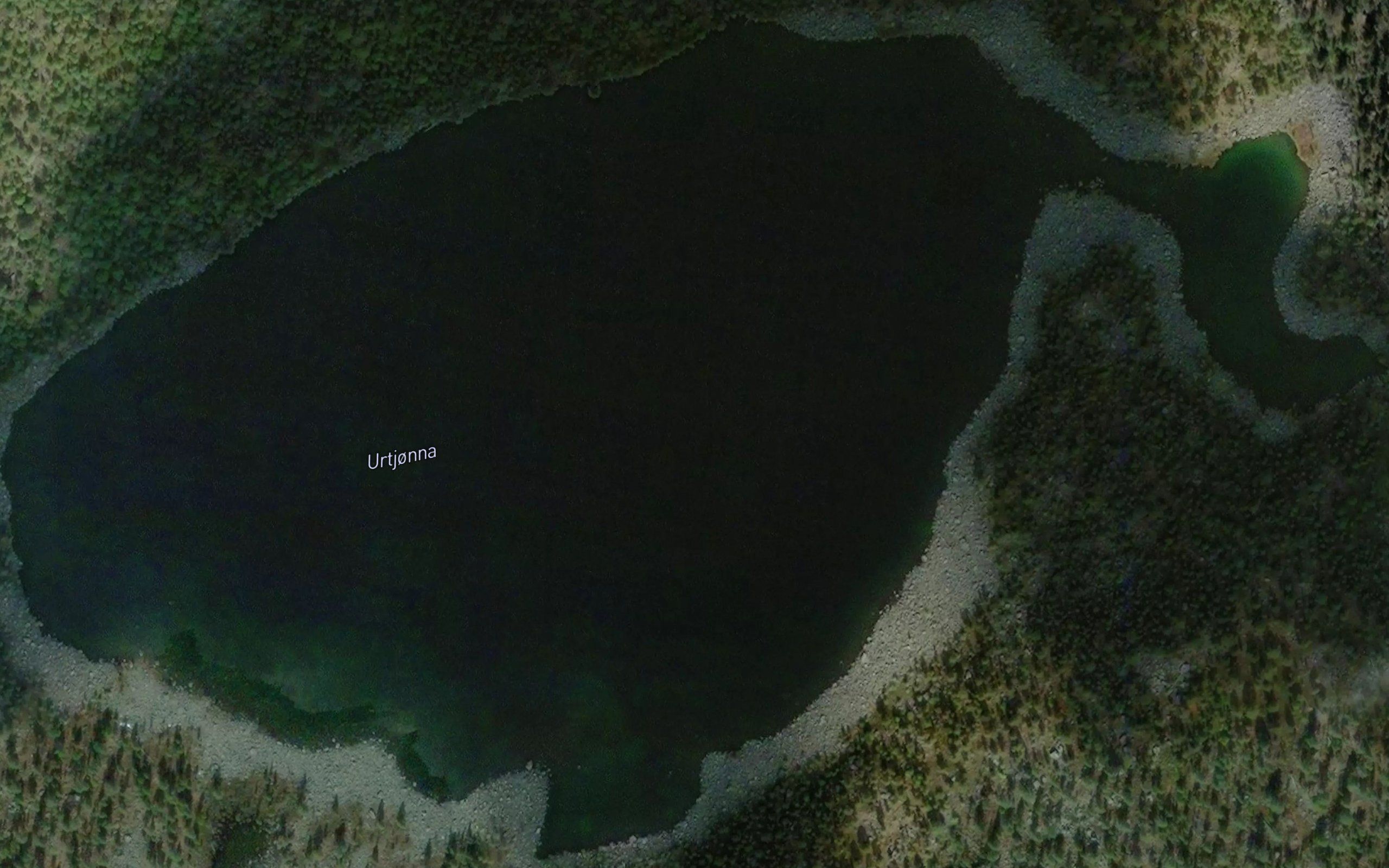 Urtjonna