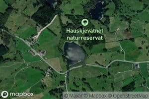 Hauskjevatnet