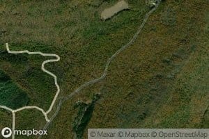 Mineral County Spring