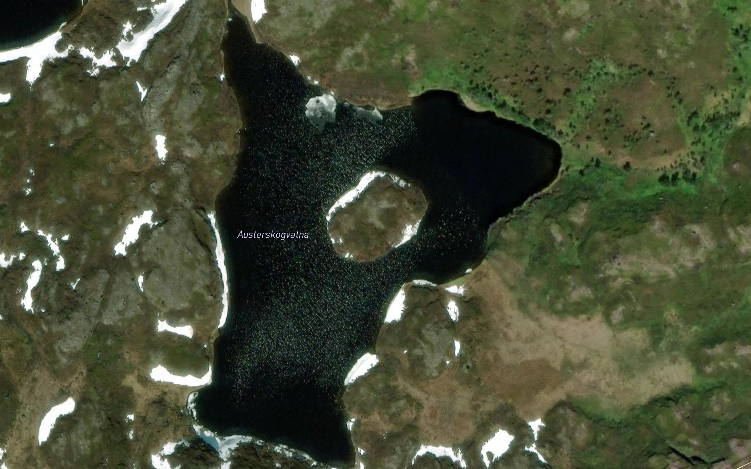 Austerskogvatna