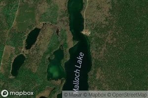 Malloch Lake