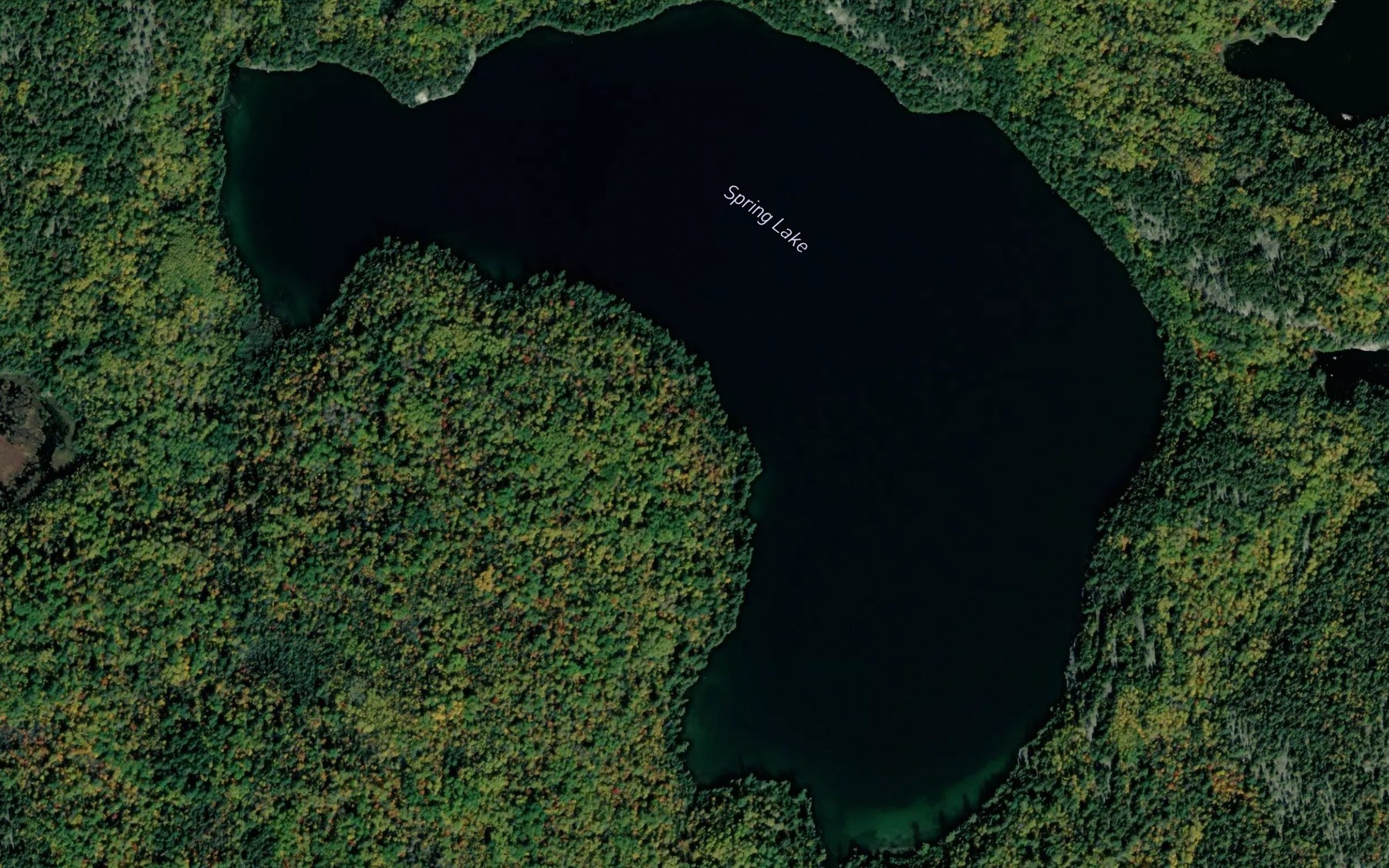 Satellite map of the Spring Lake