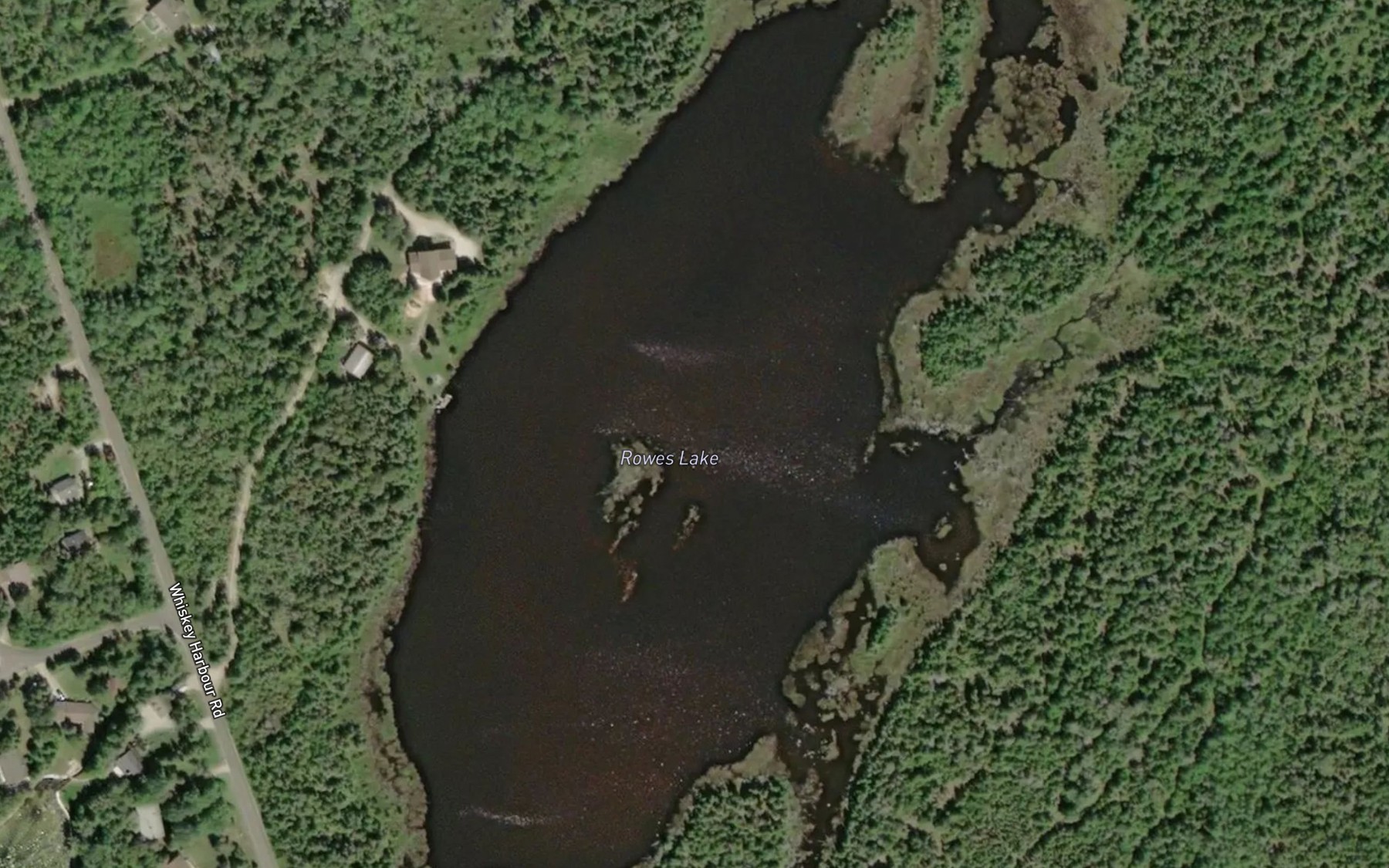 Satellite map of the Rowes Lake