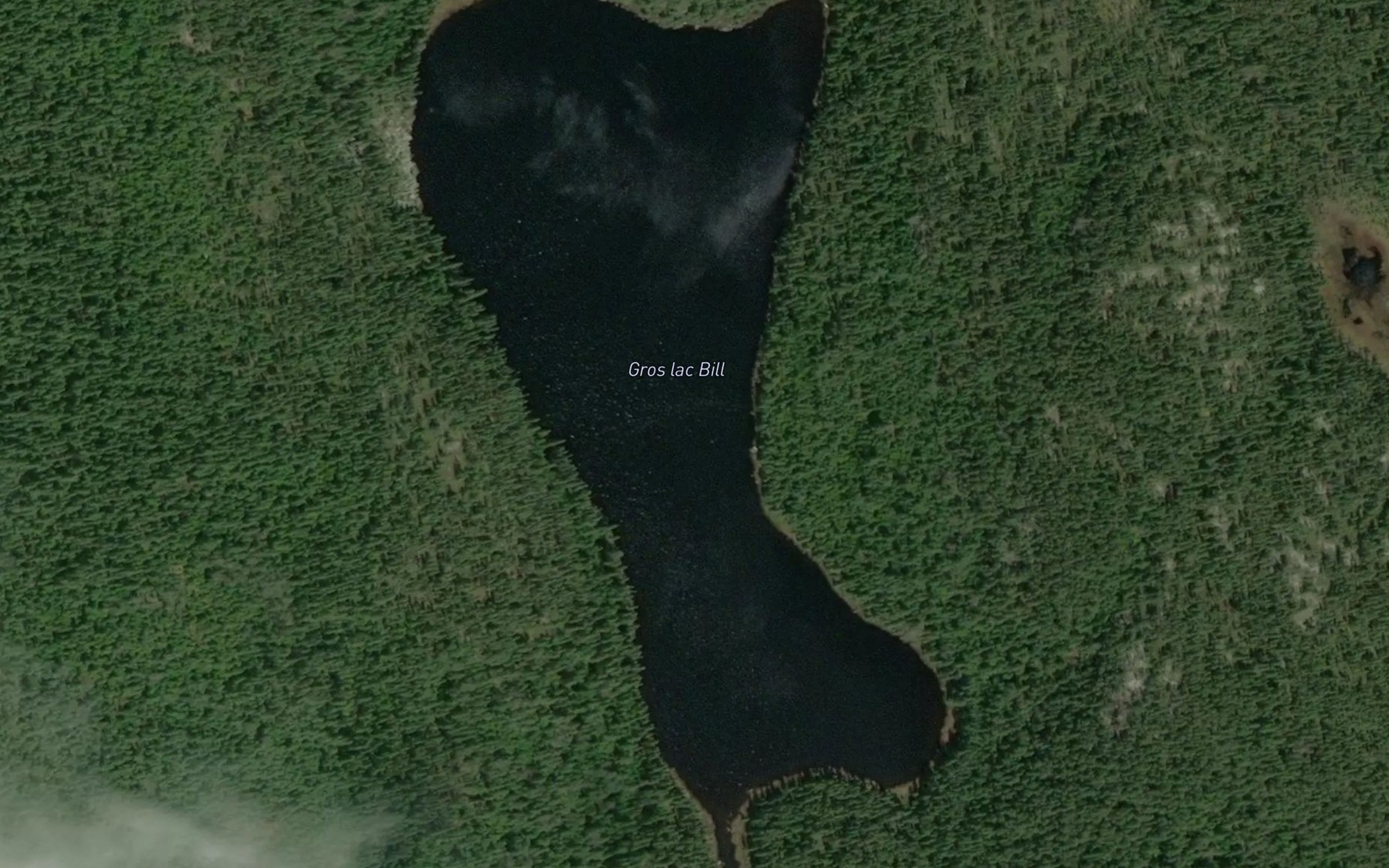 Satellite map of the Gros lac Bill