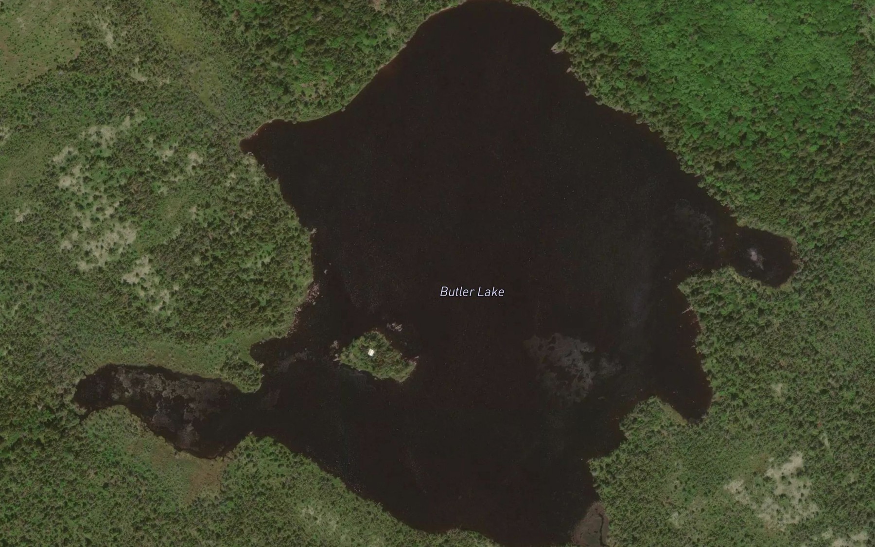 Satellite map of the Butler Lake