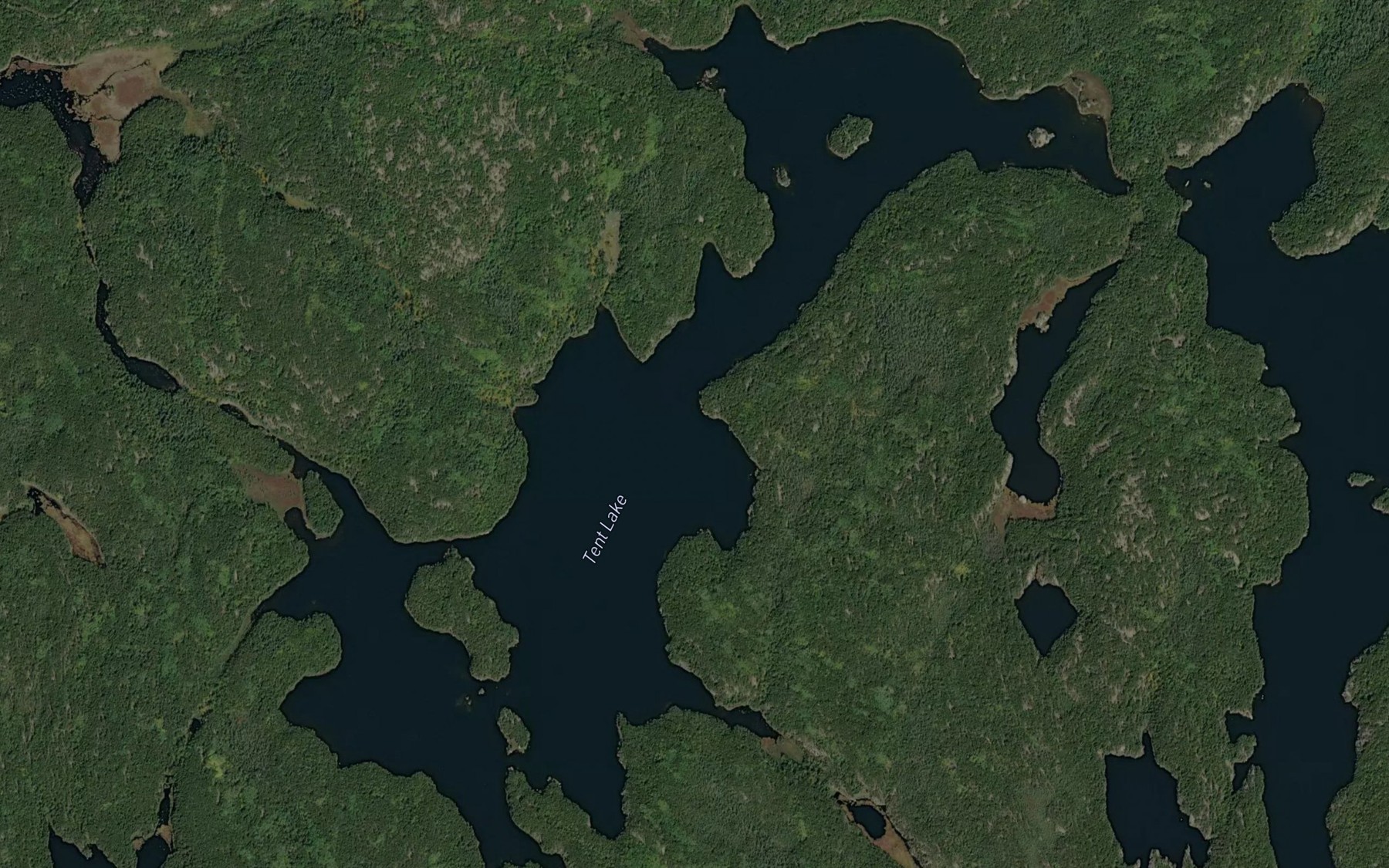 Satellite map of the Tent Lake