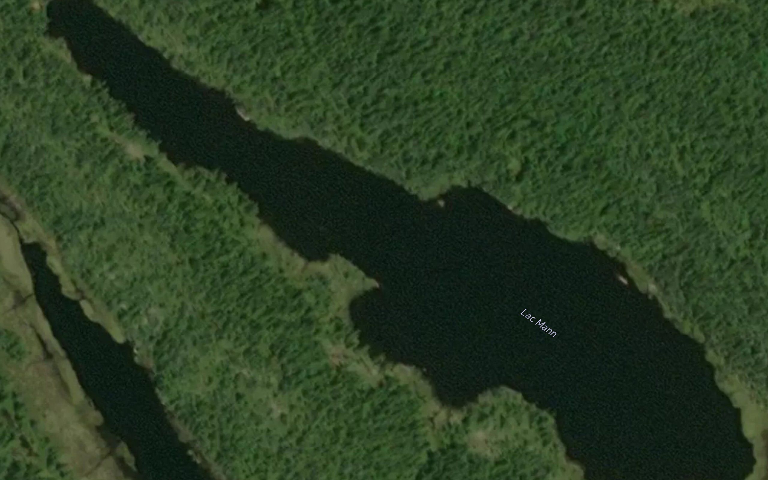 Lac Mann