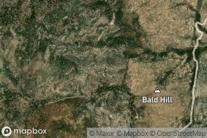Bald Hill Spring
