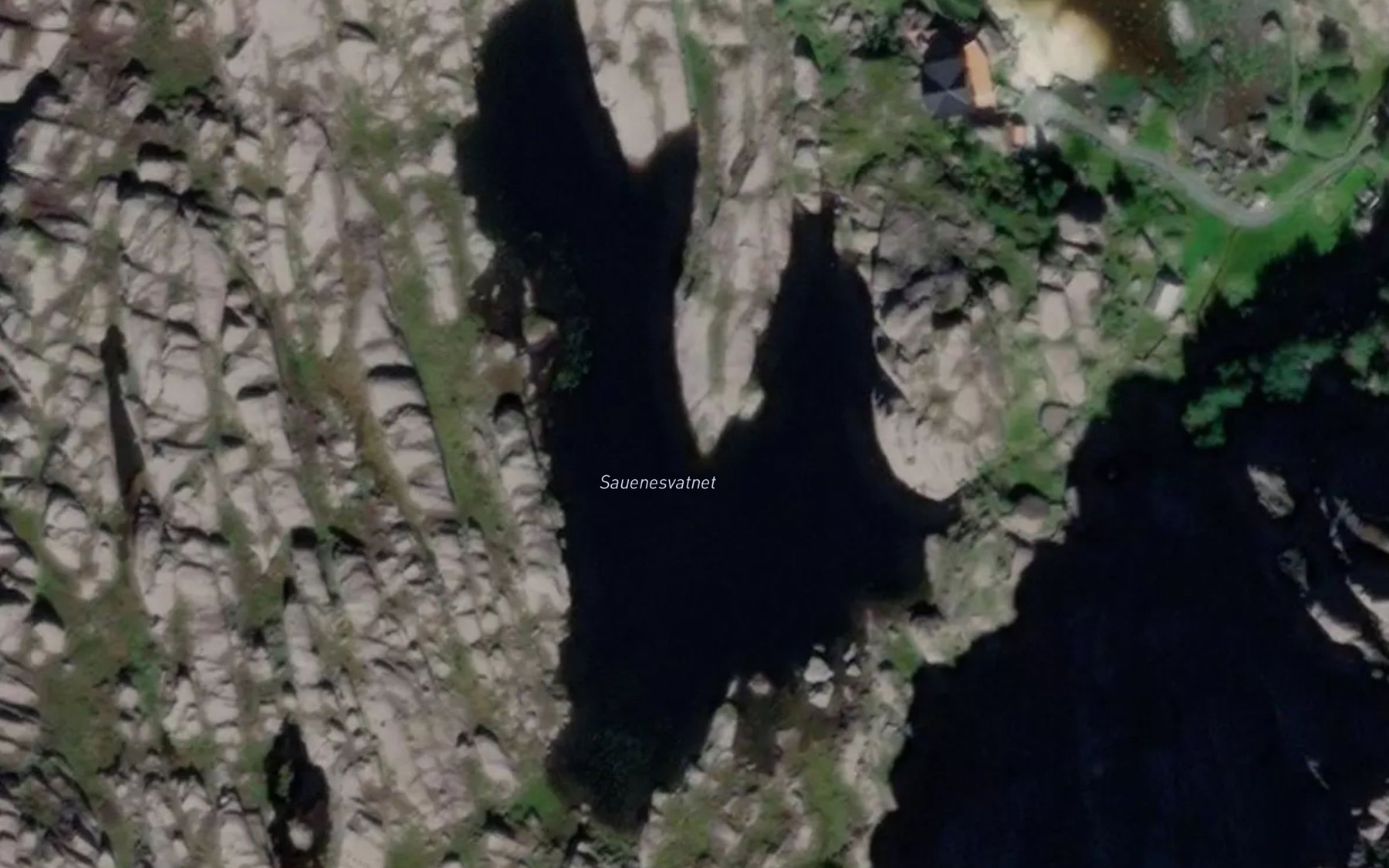 Satellite map of the Sauenesvatnet