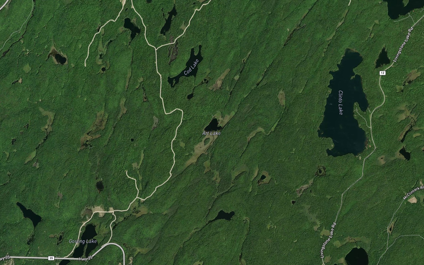 Satellite map of the Art Lake