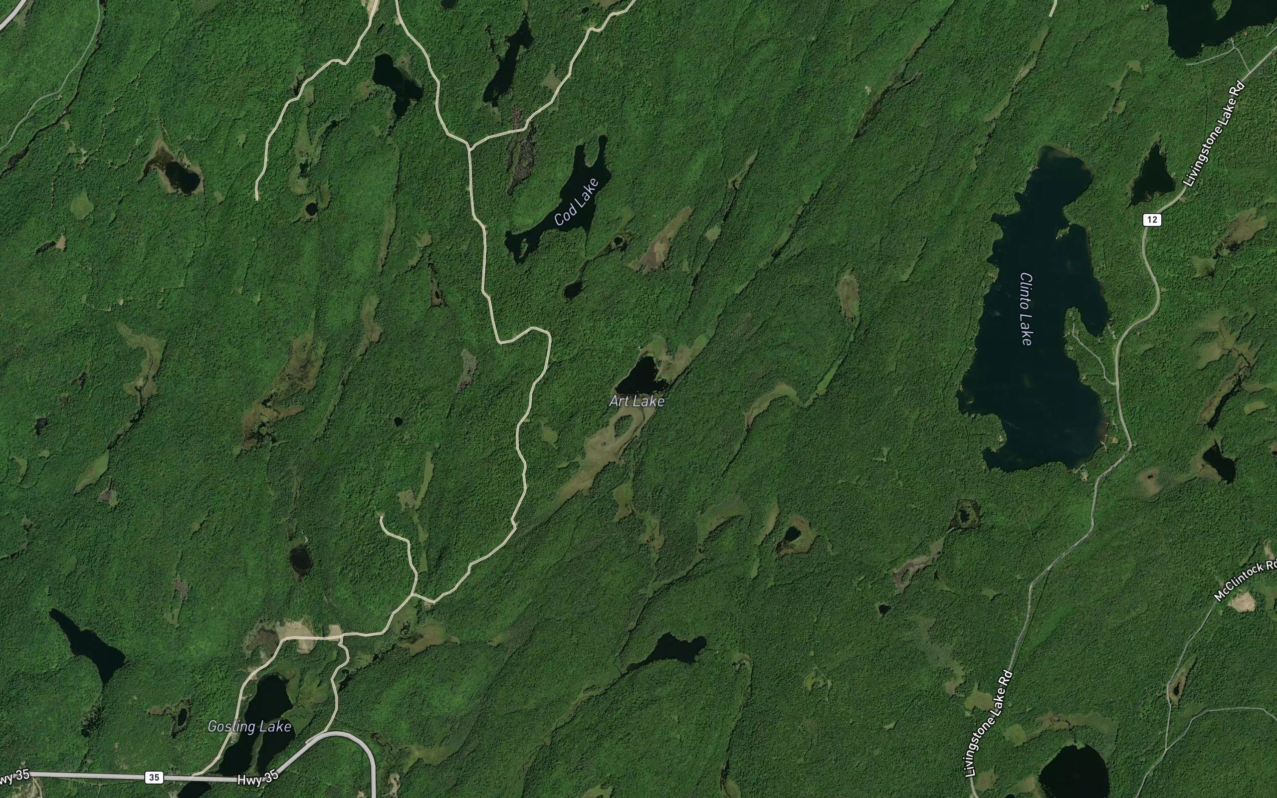 Art Lake