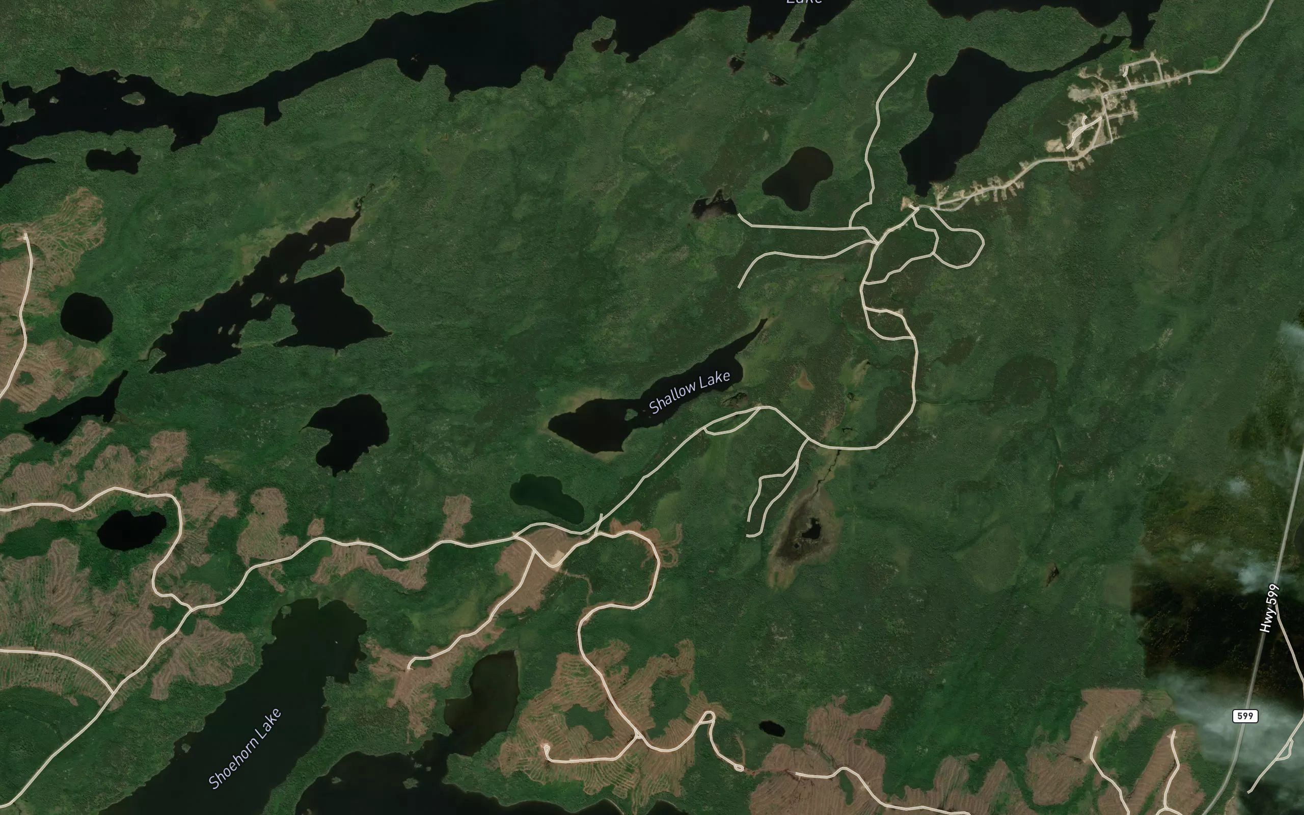 Shallow Lake