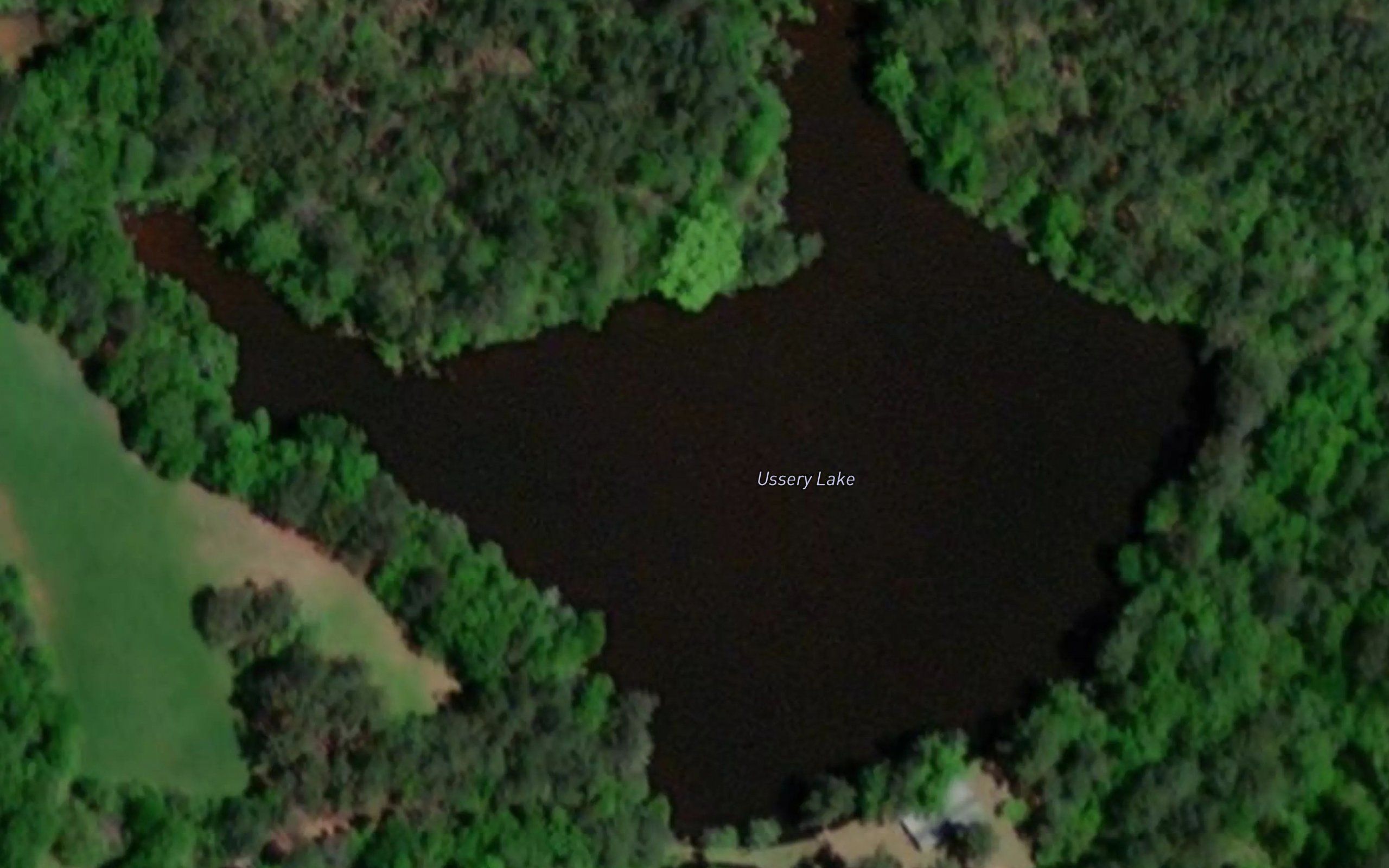 Ussery Lake