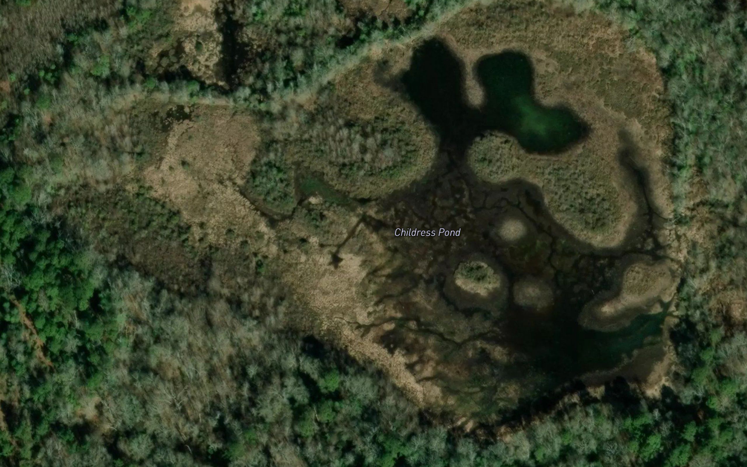 Childress Pond