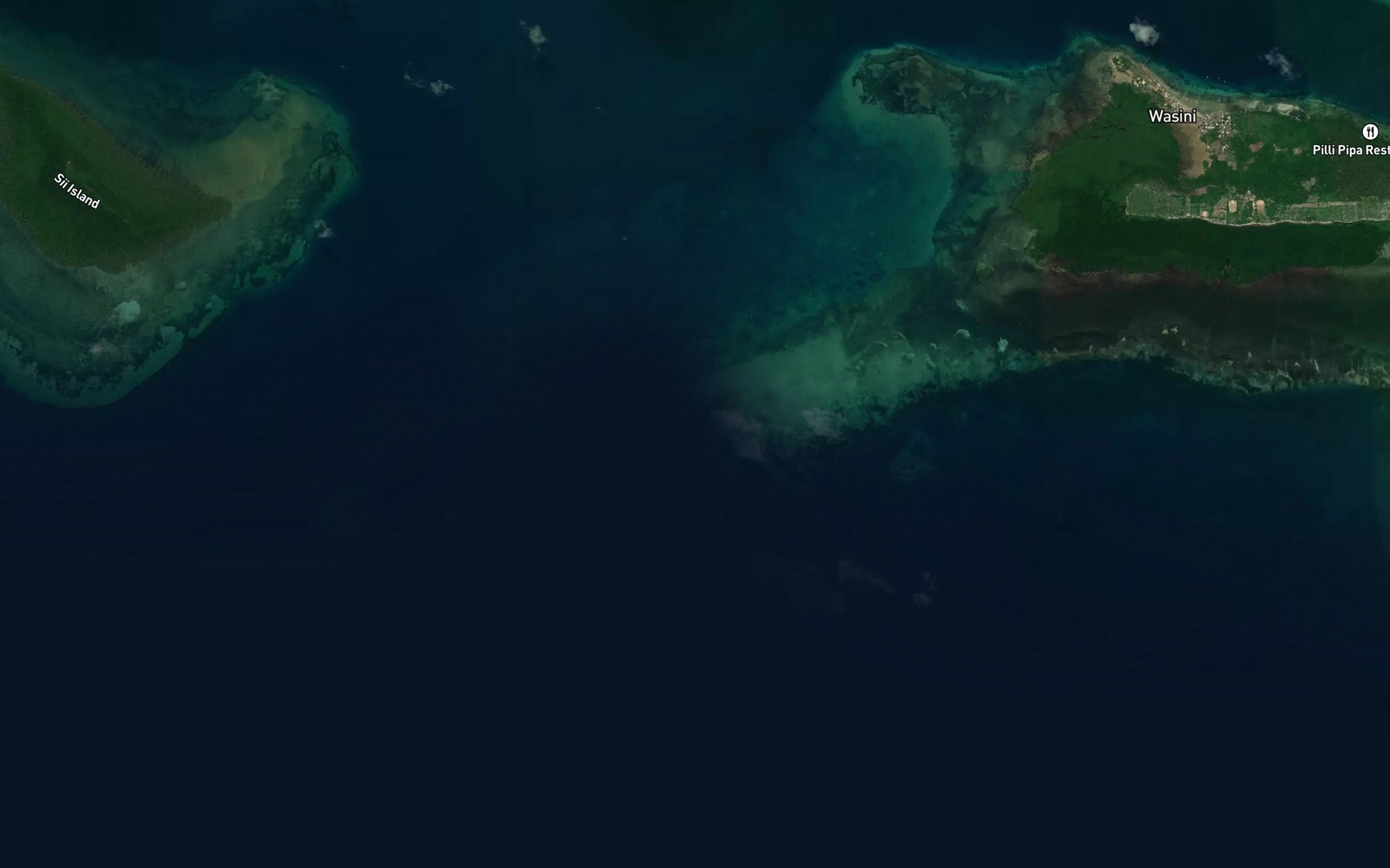 Satellite map of the Ncha Mwamba