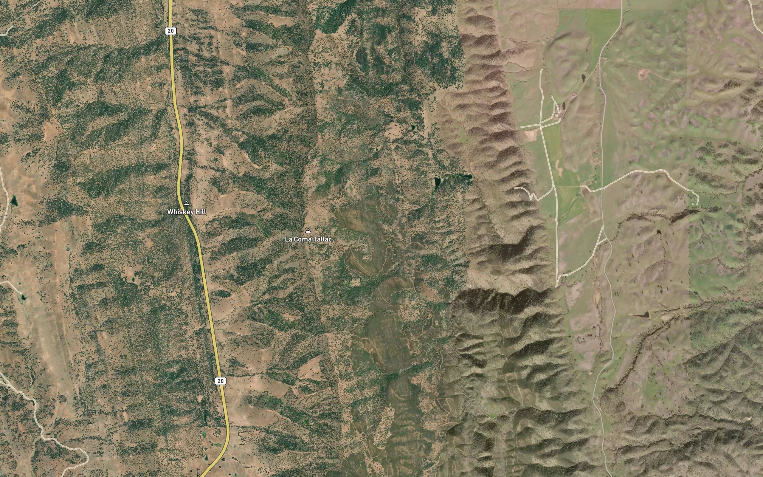 Cottonwood Spring