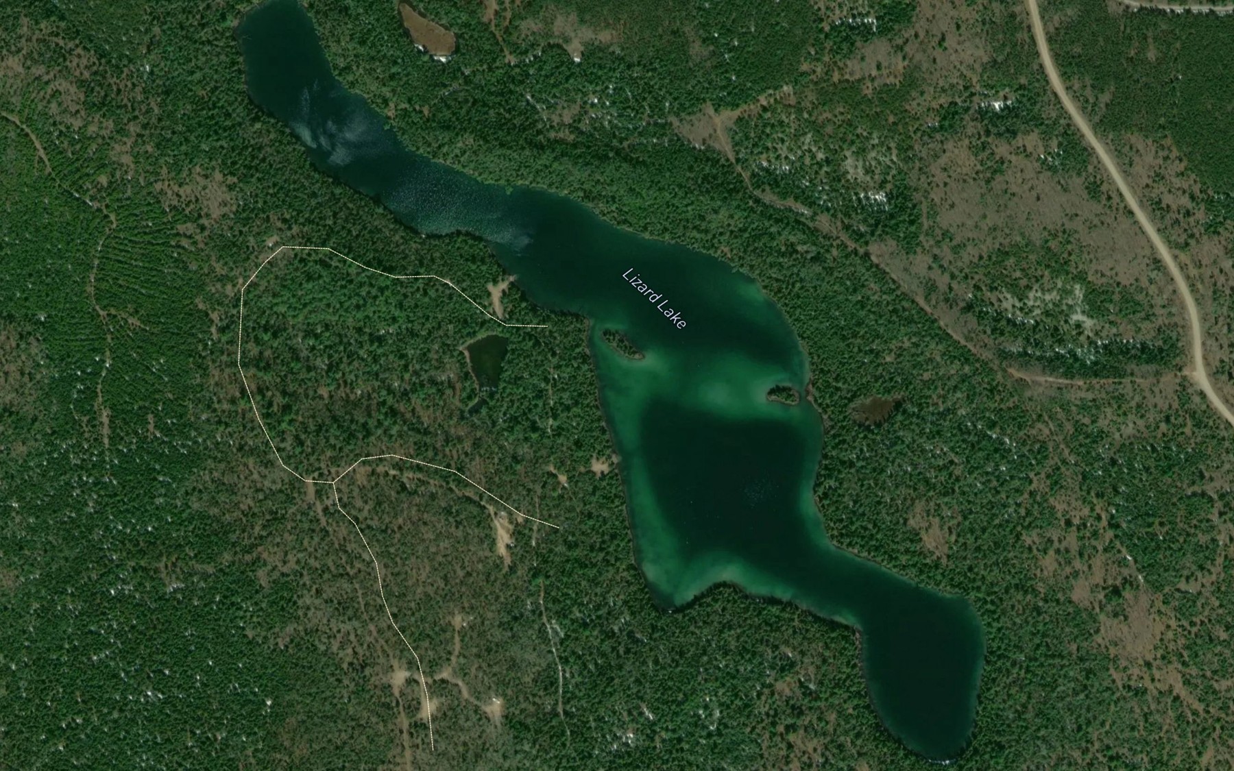 Satellite map of the Lizard Lake