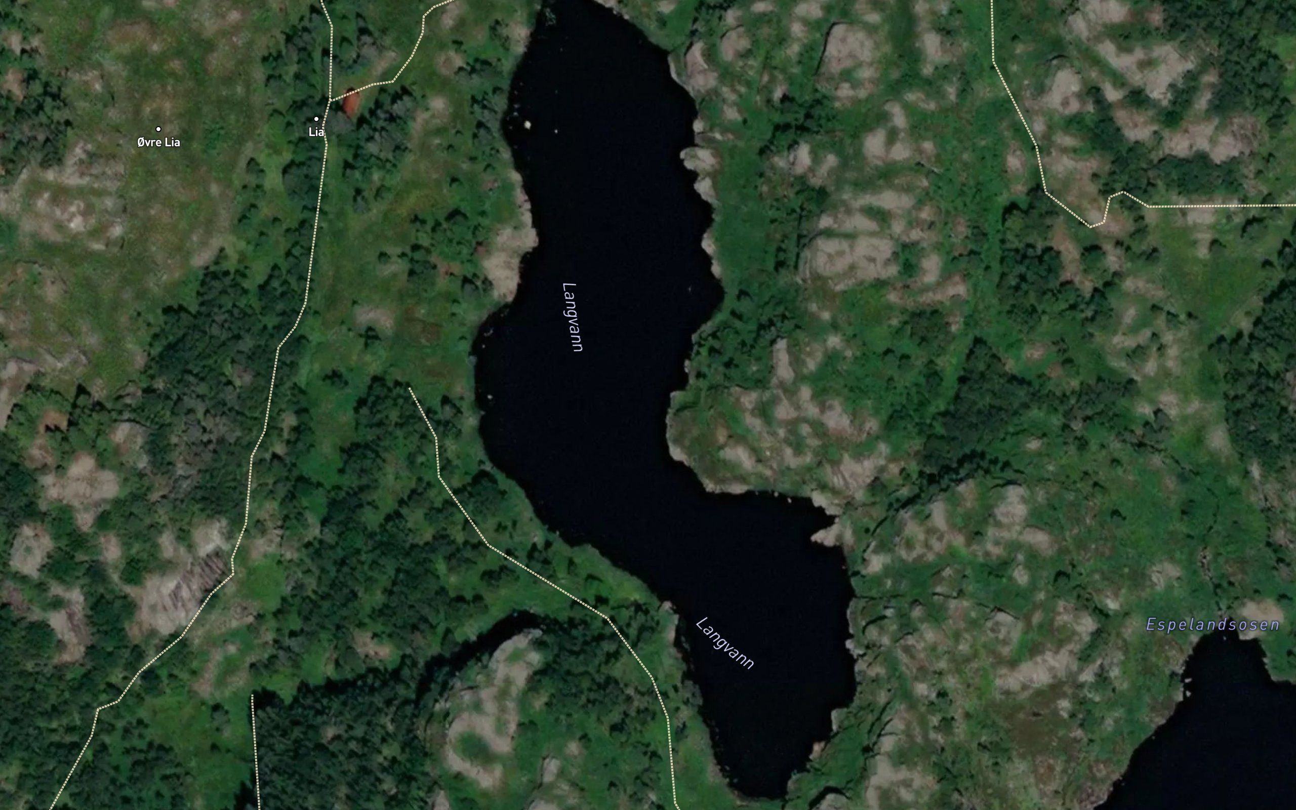 Langevann