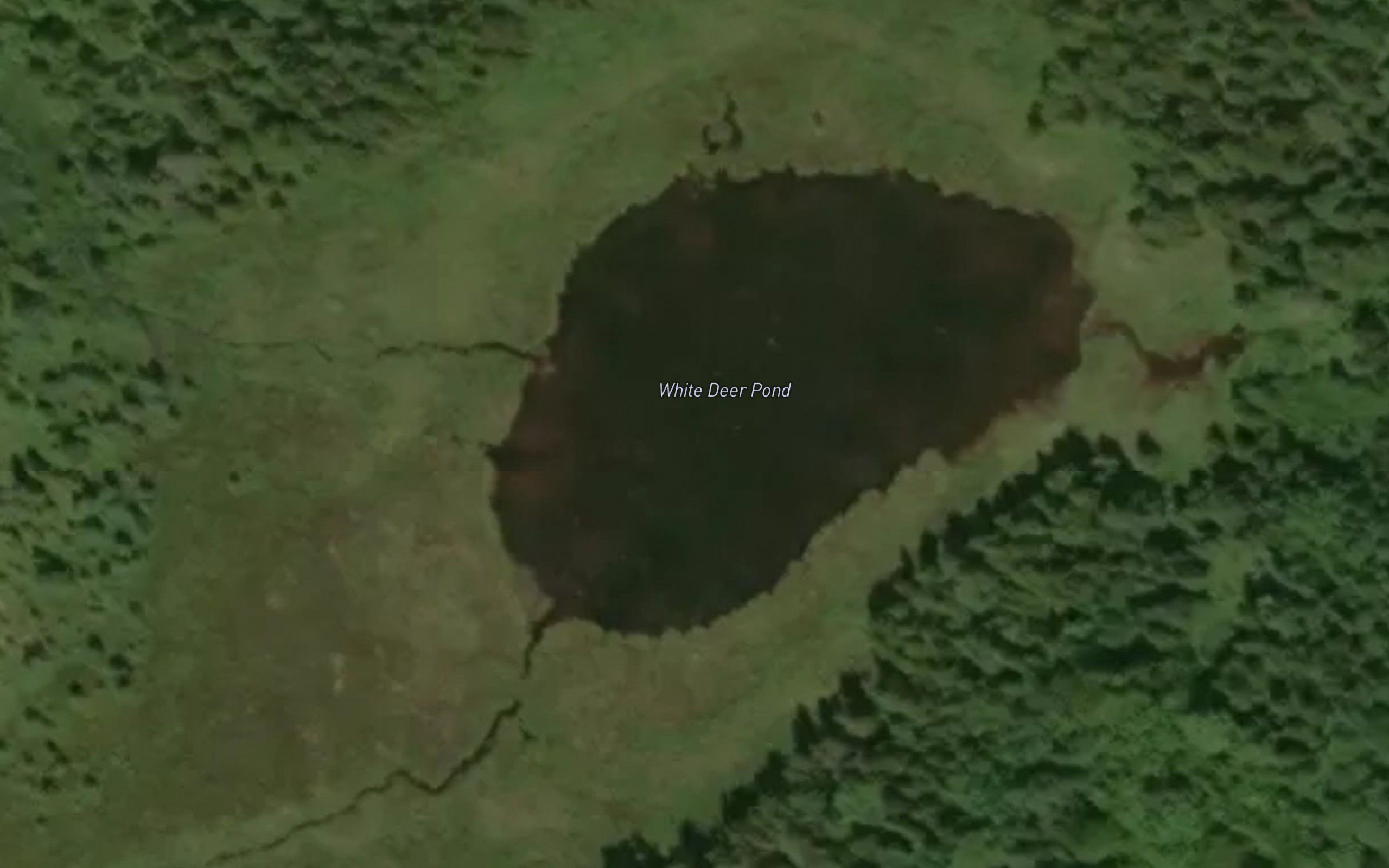 White Deer Pond