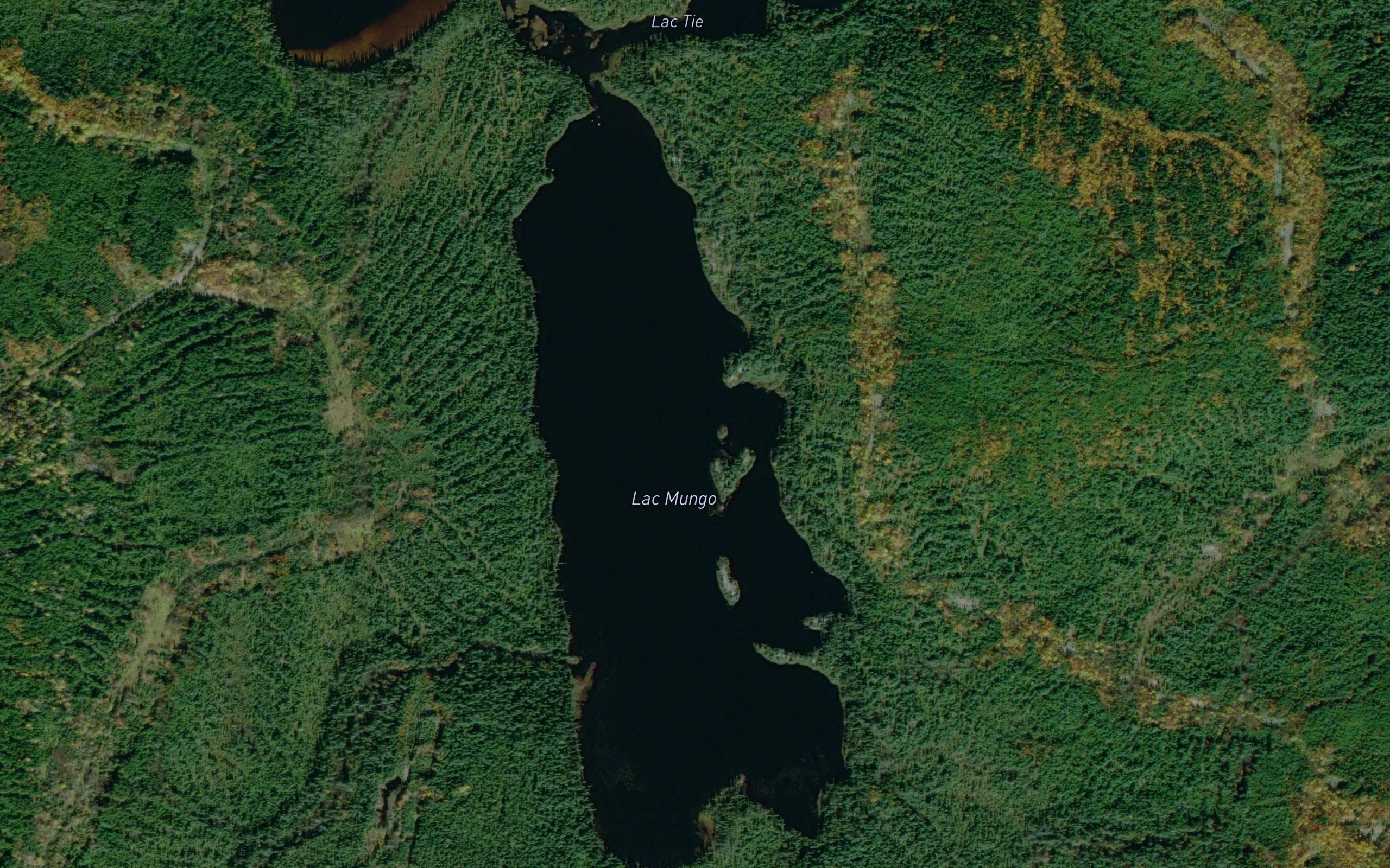 Lac Mungo