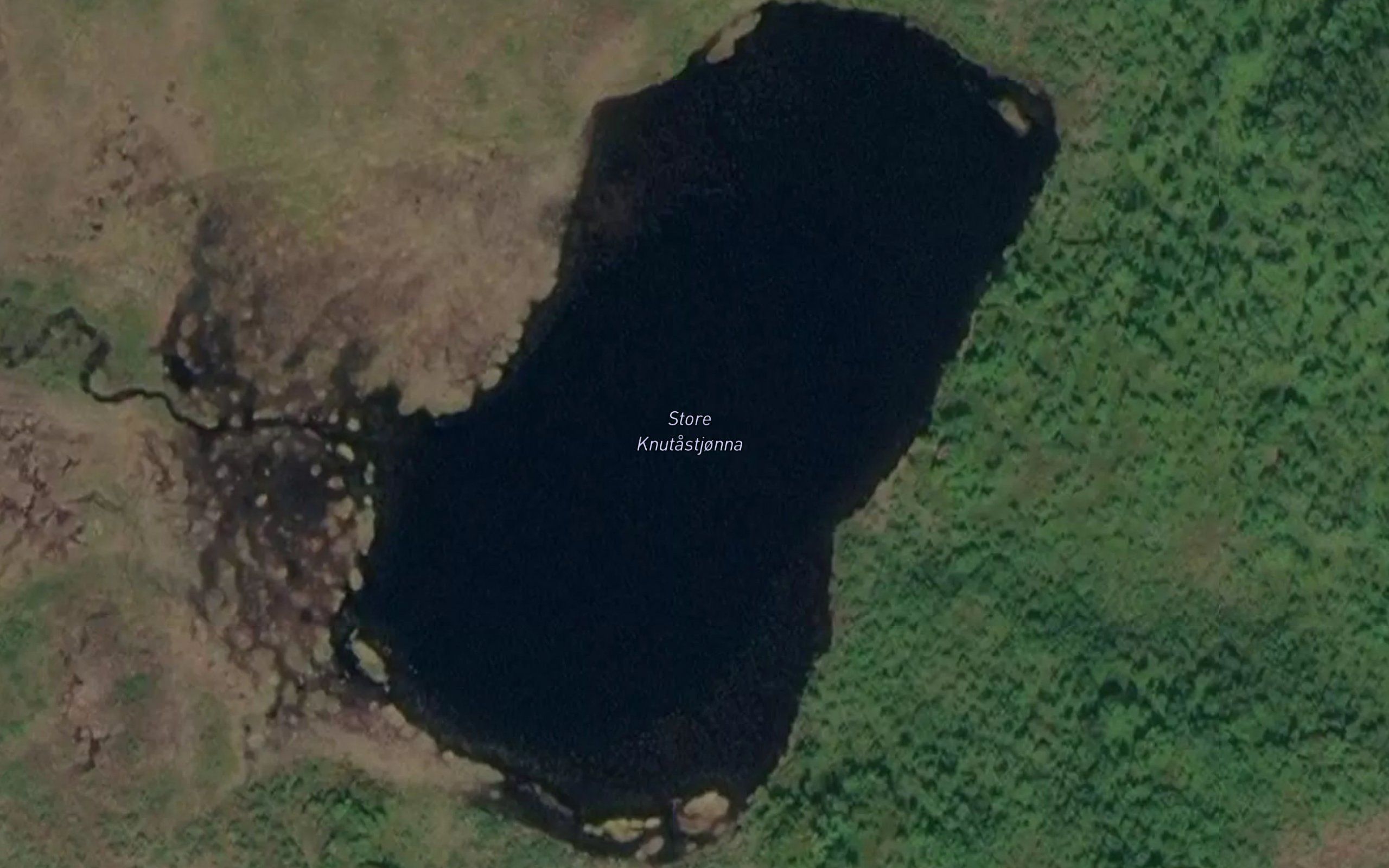 Knutastjorna
