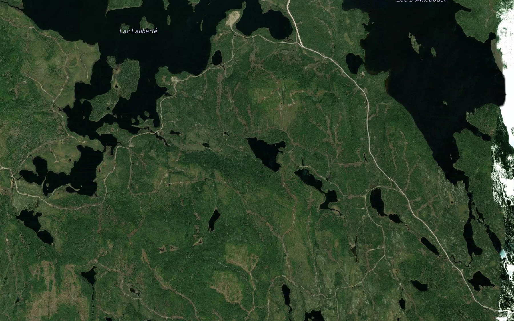 Satellite map of the Lac de la Batture