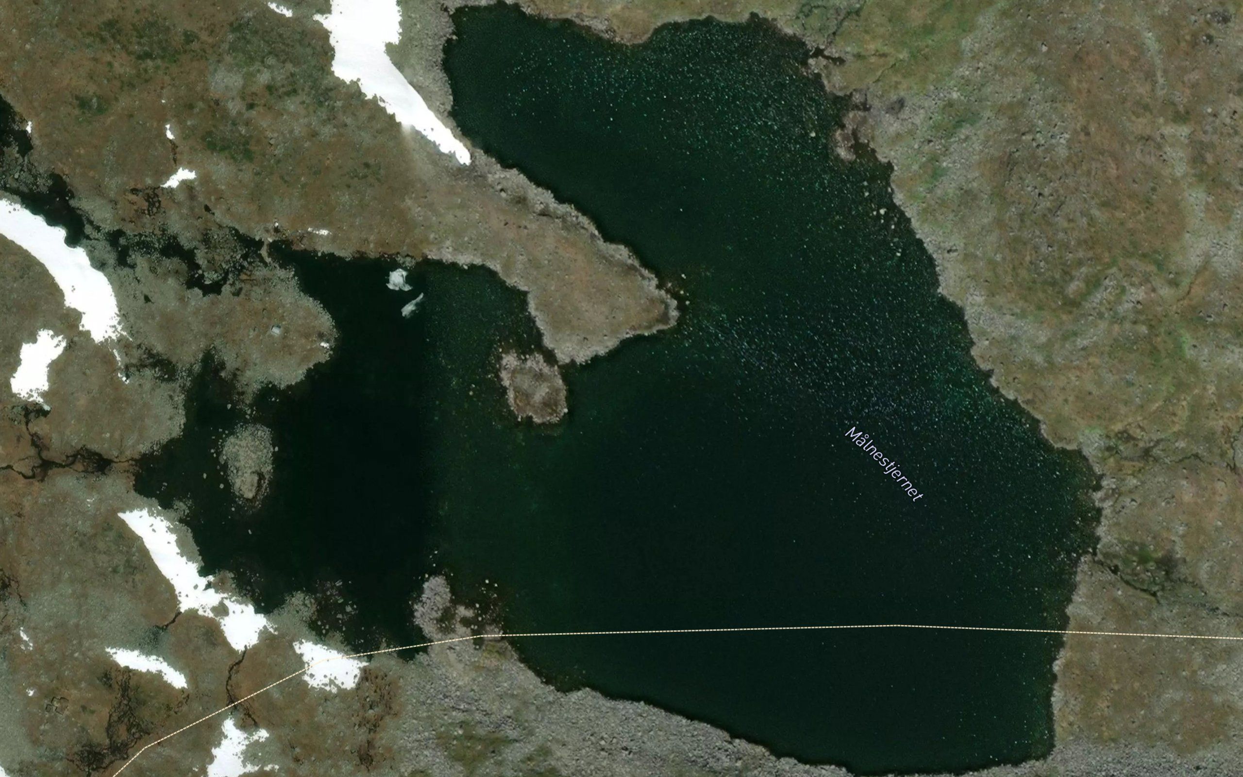 Malnestjernet