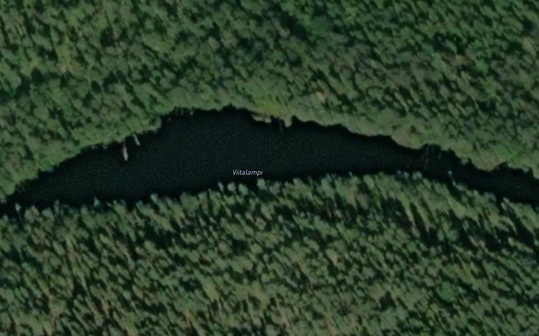 Satellite map of the Viitalampi