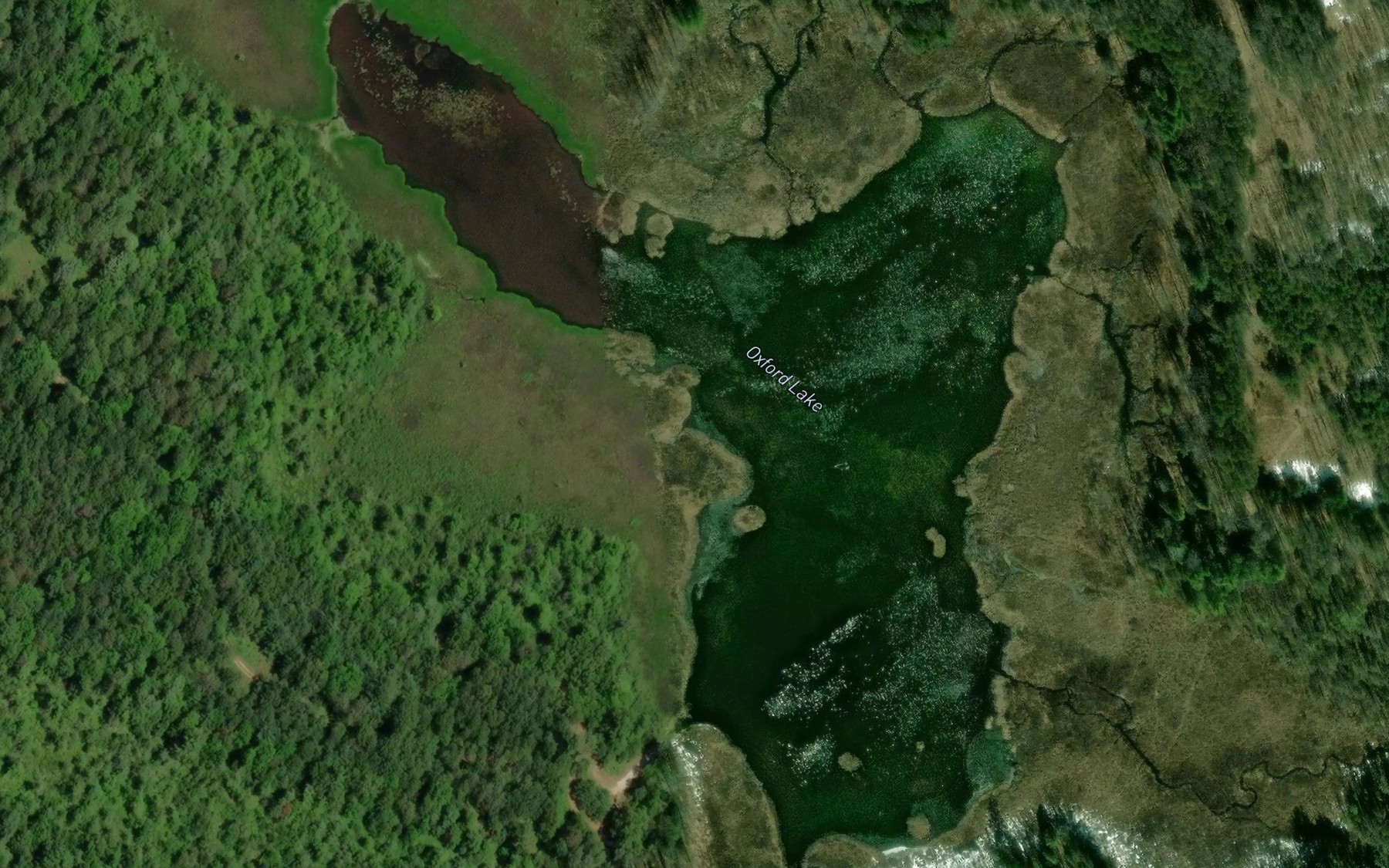 Satellite map of the Oxford Lake