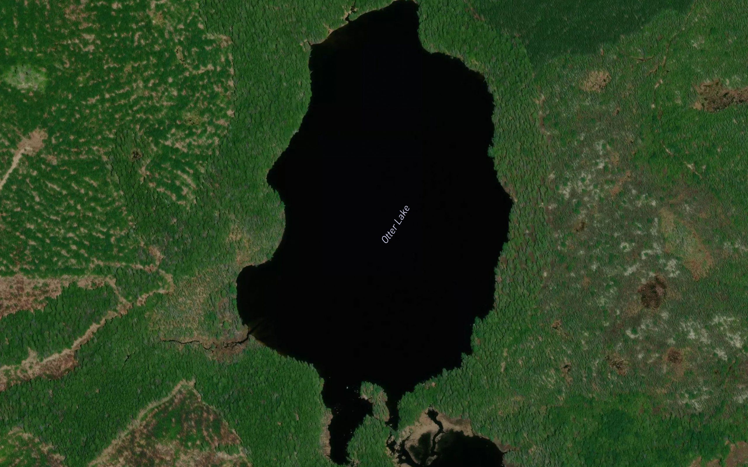 Otter Lake