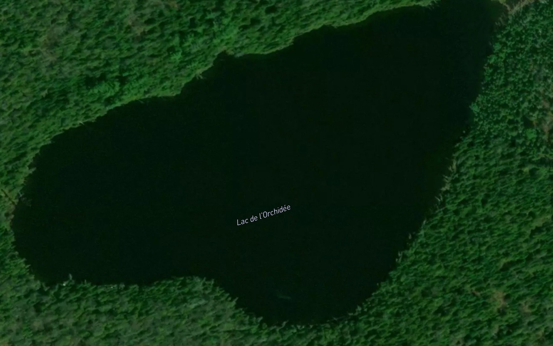 Satellite map of the Lac de l'Orchidee