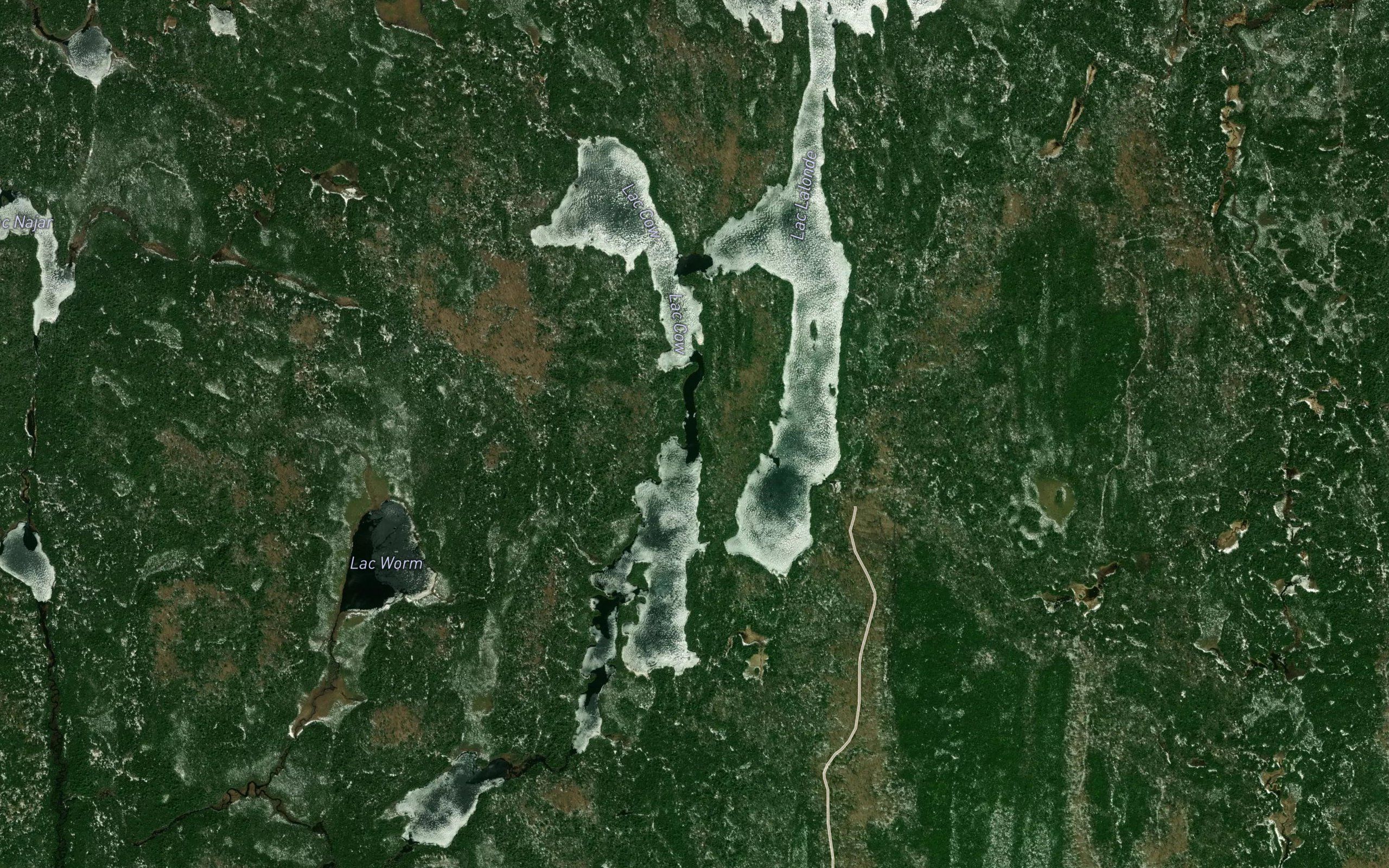 Lac Cow