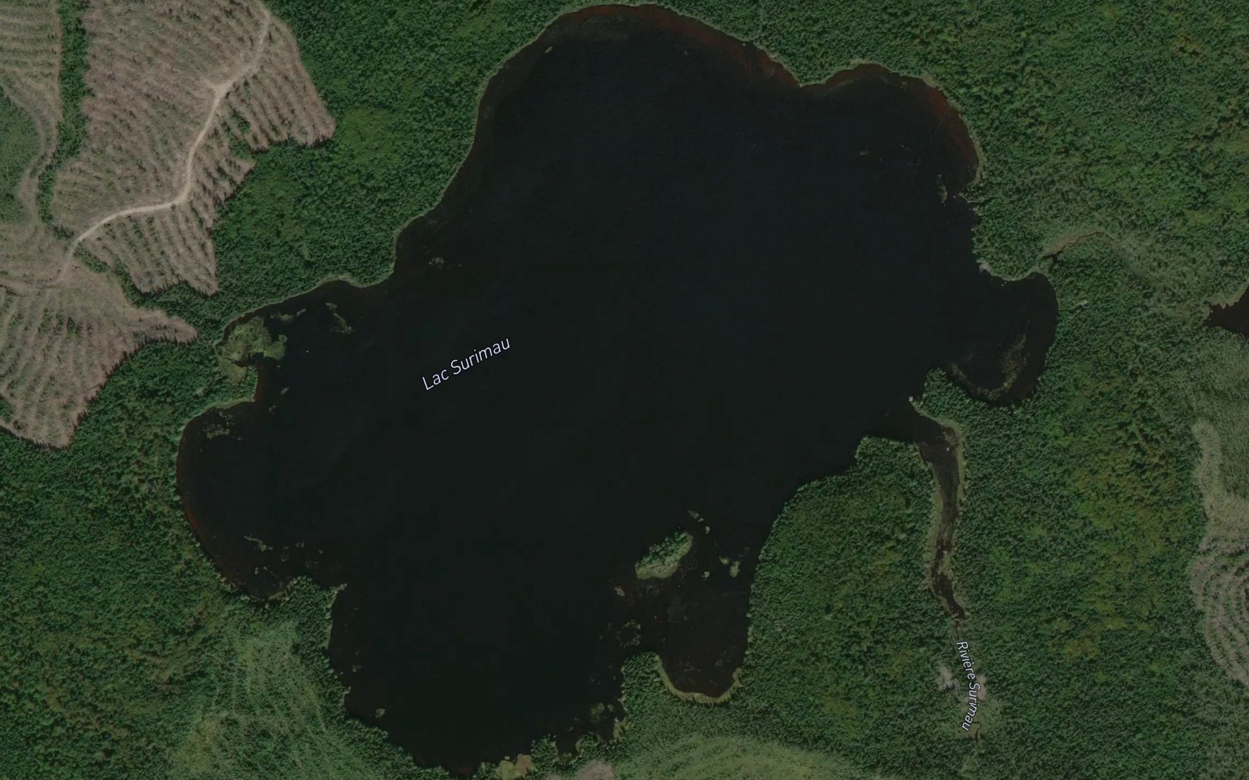 Satellite map of the Lac Surimau