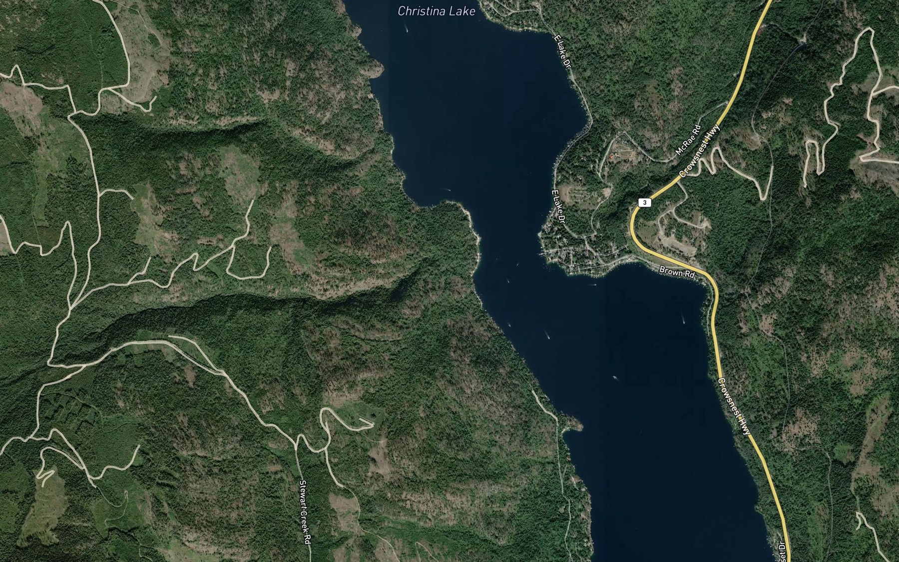 Satellite map of the McRae Creek