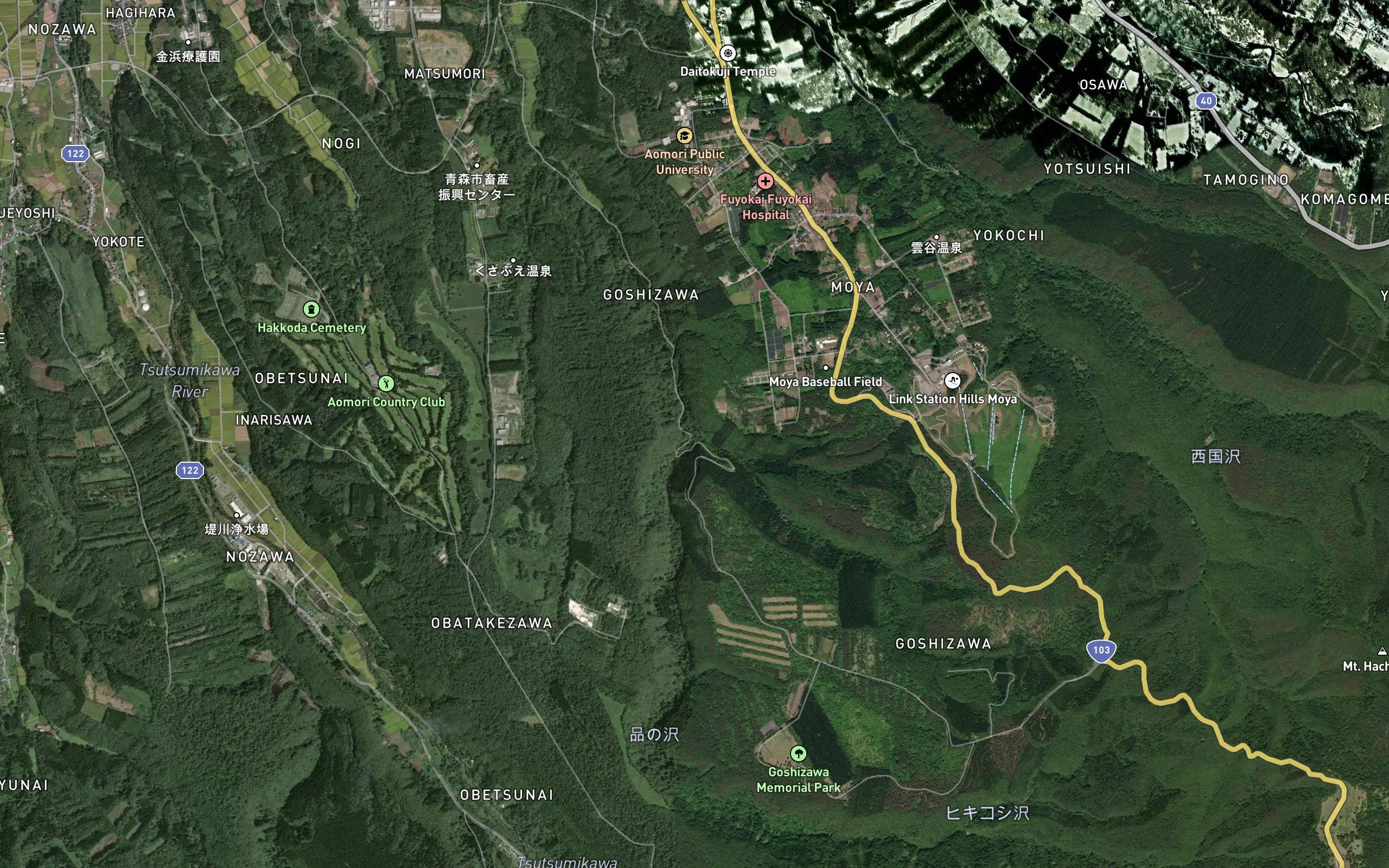 ShinanoSawa