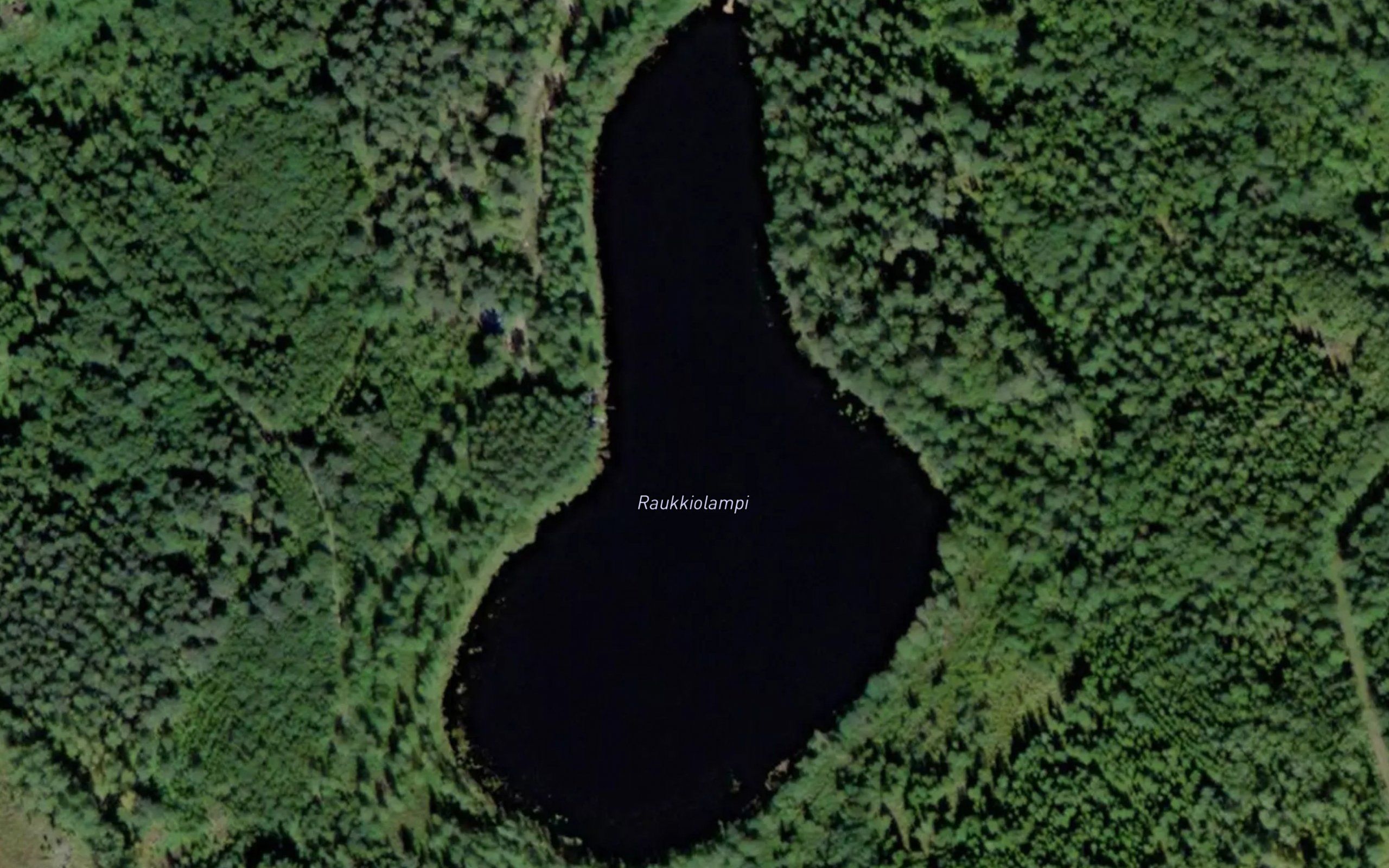 Raukkiolampi
