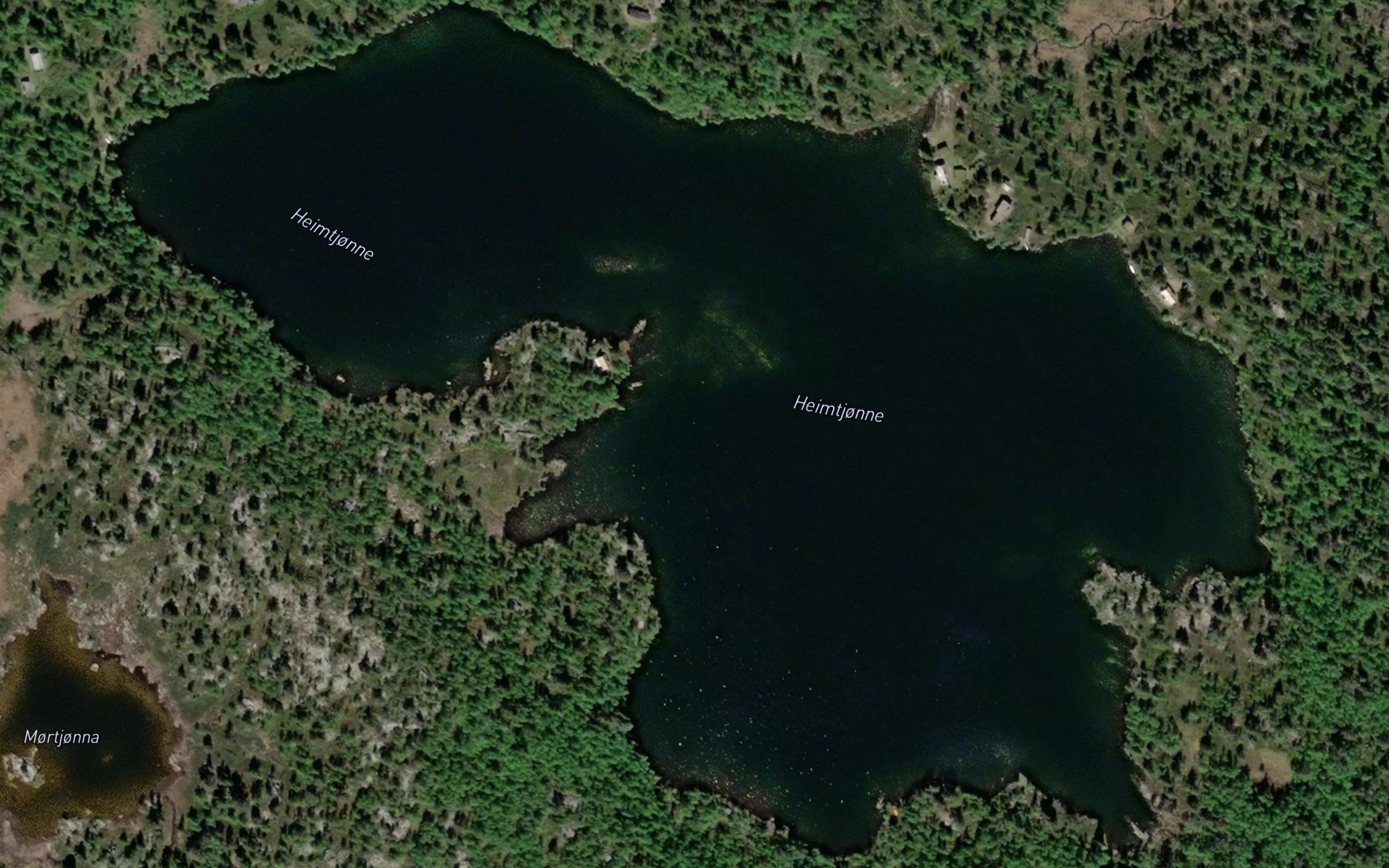 Heimtjorni