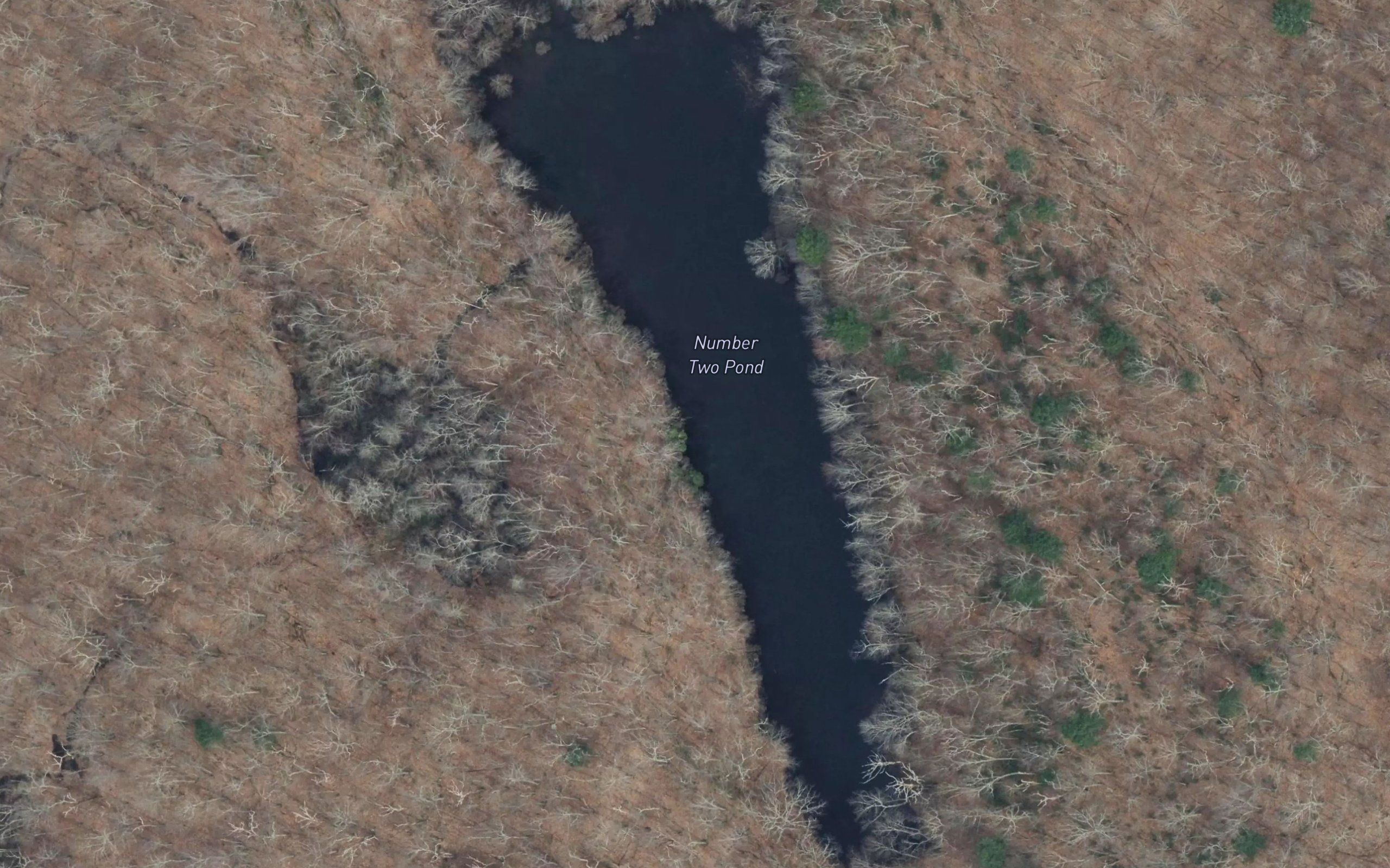 Number Two Pond