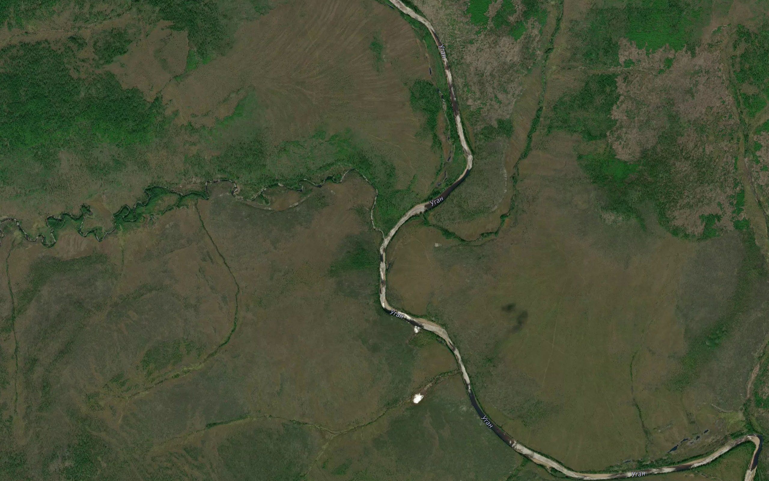 Khorogondya