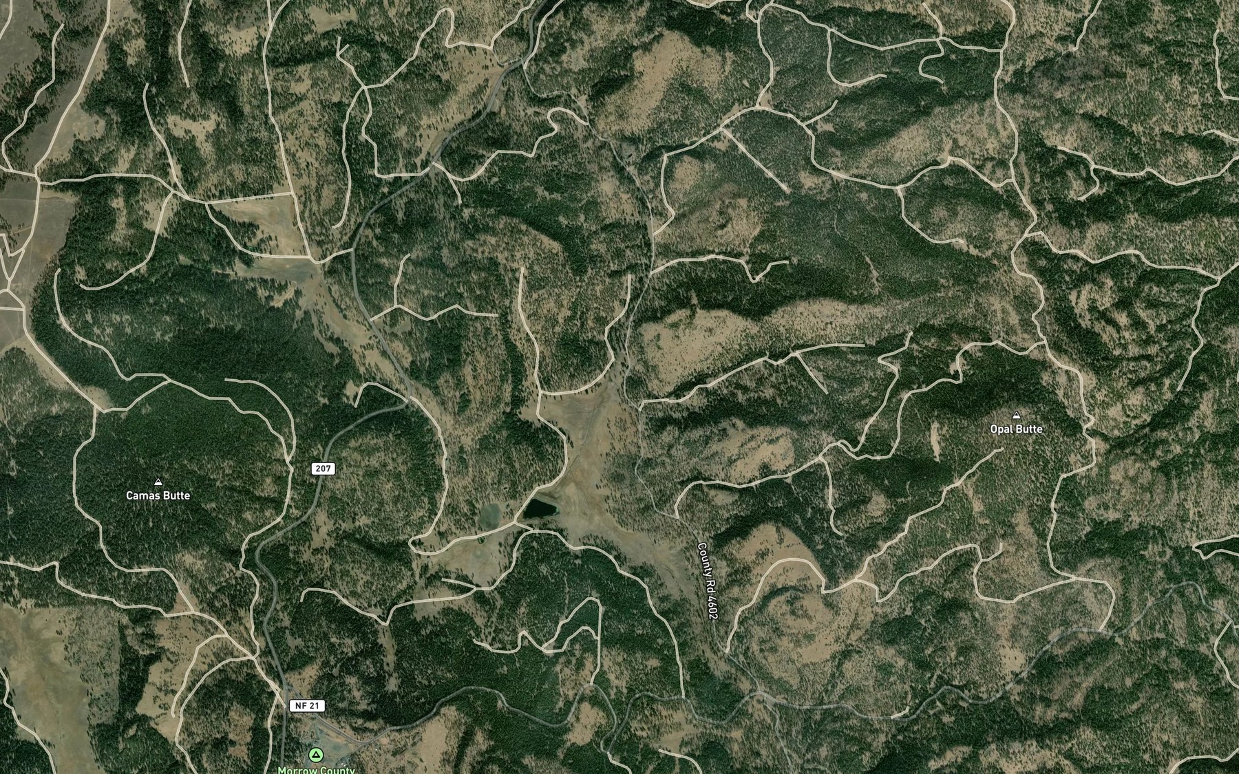 Satellite map of the Miller Spring