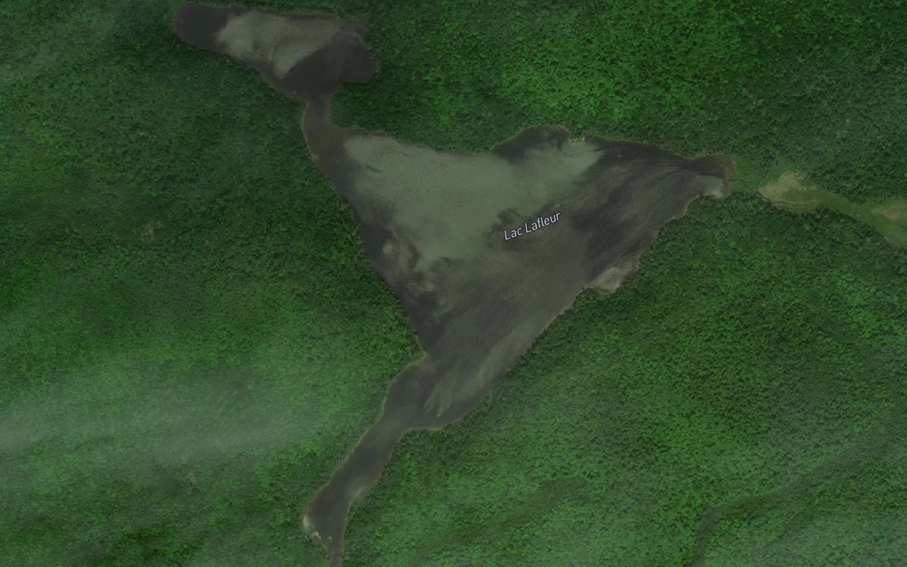 Satellite map of the Lac Lafleur