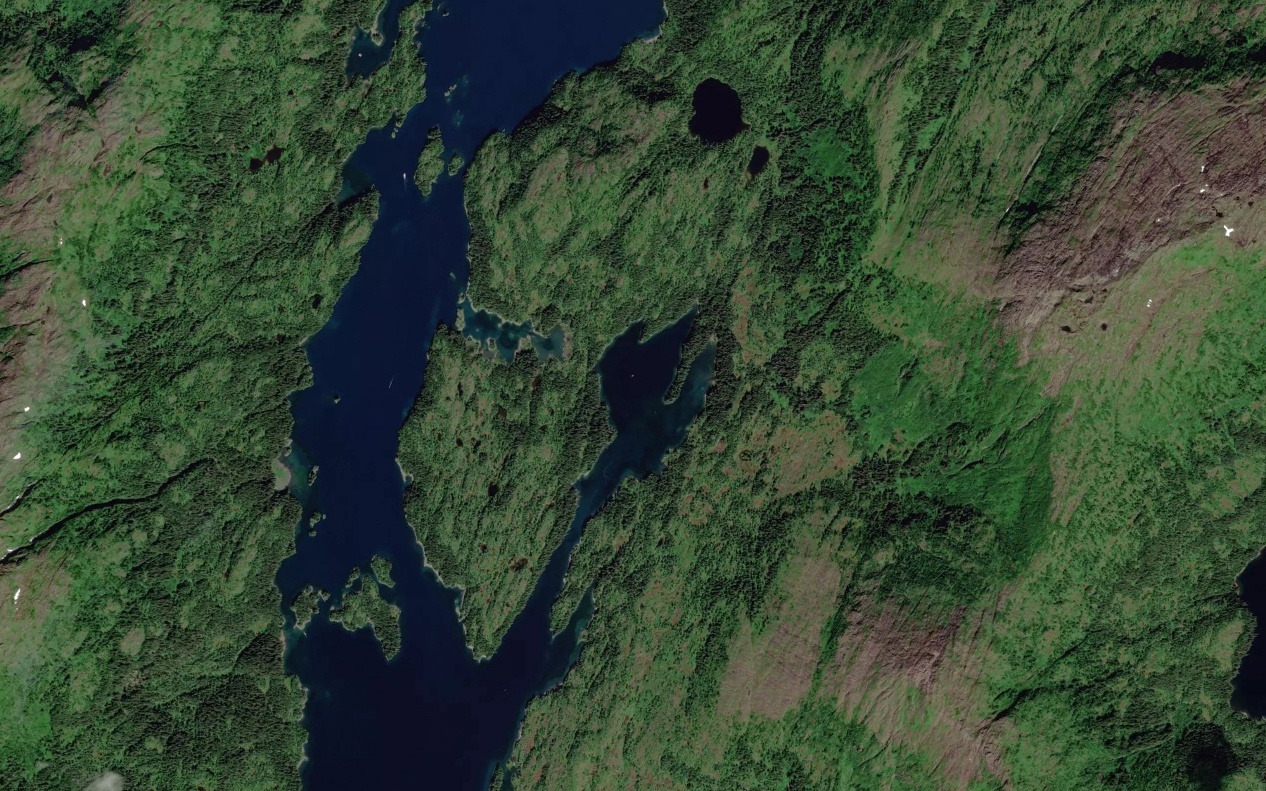 Satellite map of the Goose Bay
