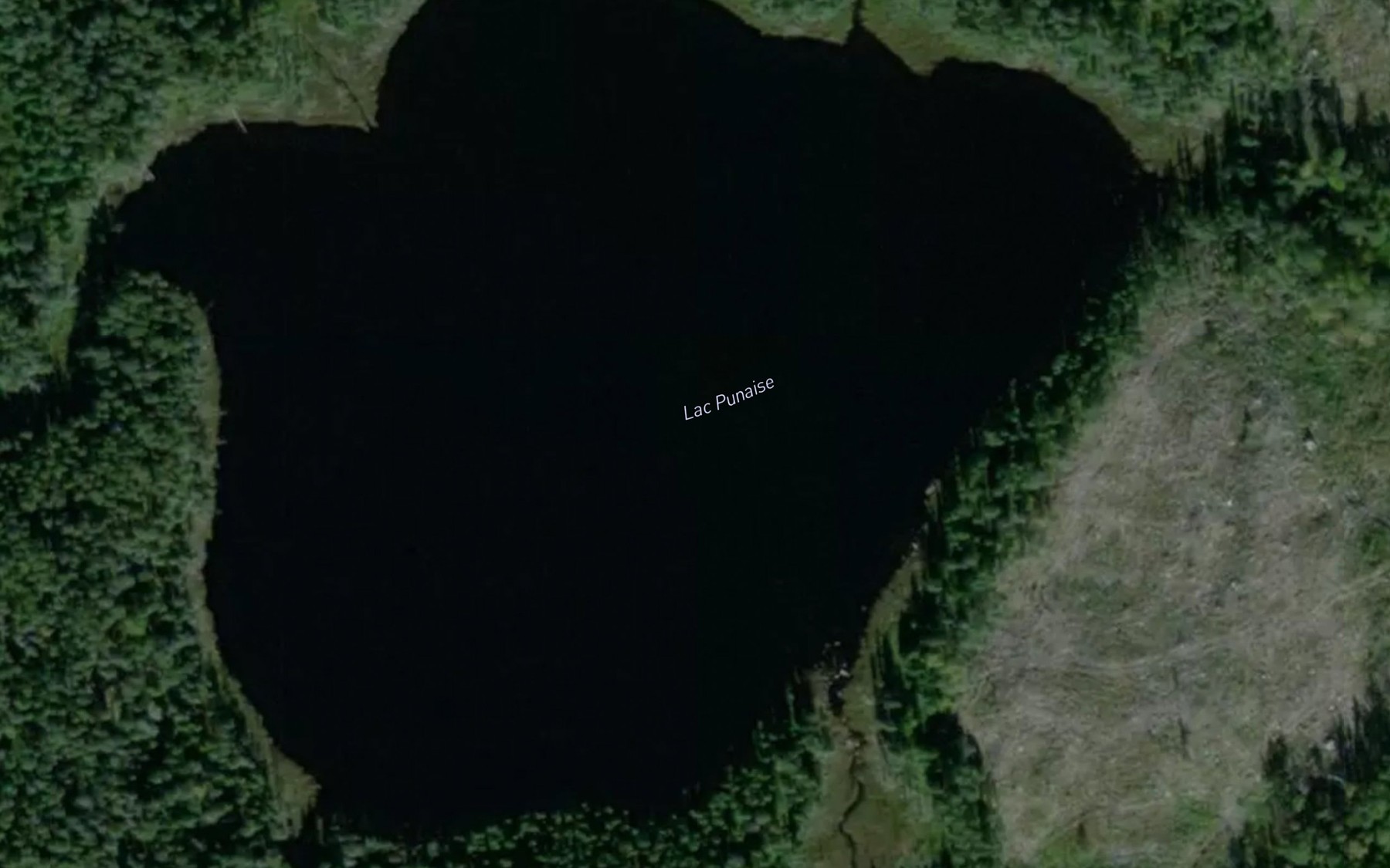 Satellite map of the Lac Punaise