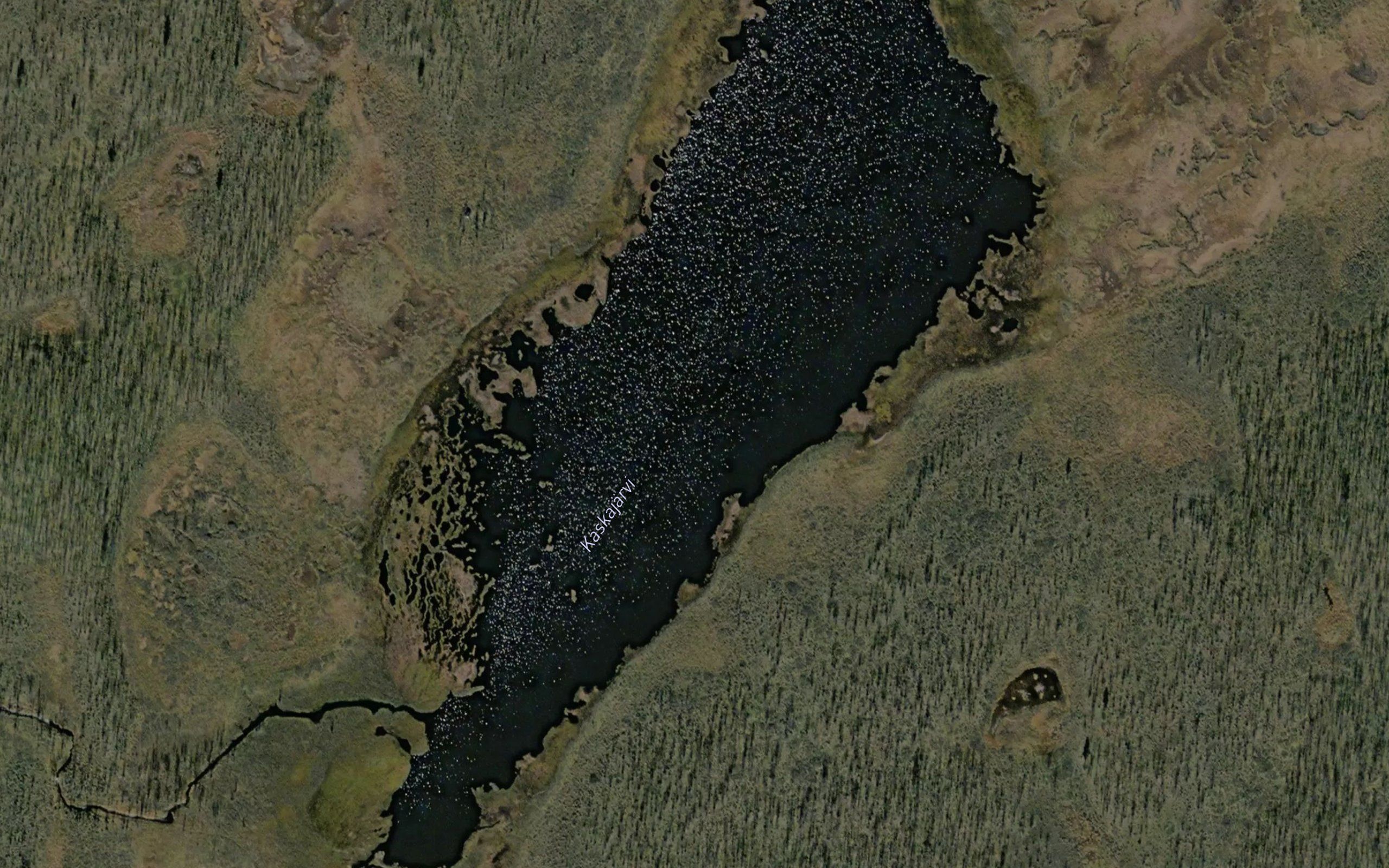Kaskajarvi