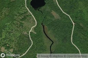 Satellite map of the Edmunds Bog Brook